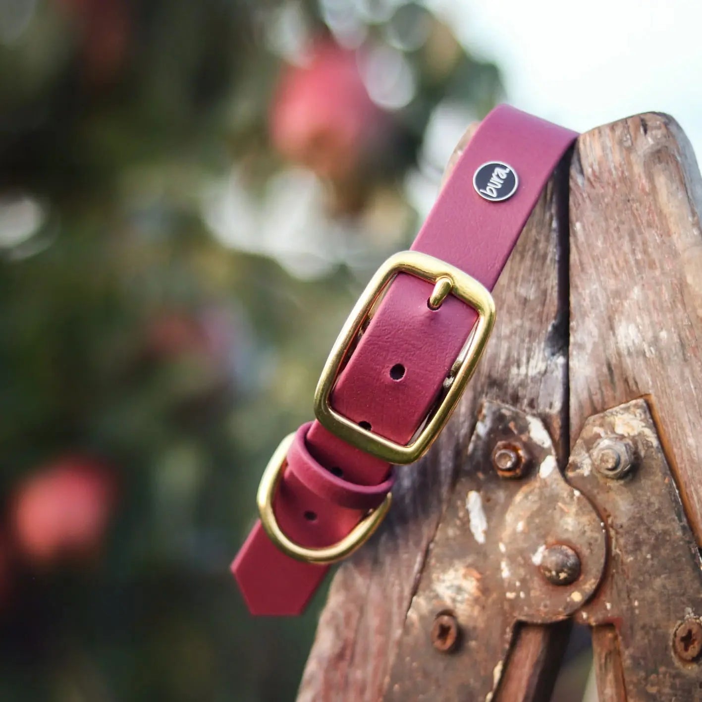 Obroża na sprzączkę dla psa, bordo / HAU... hot in here, DARK HAU... hot in here BURA