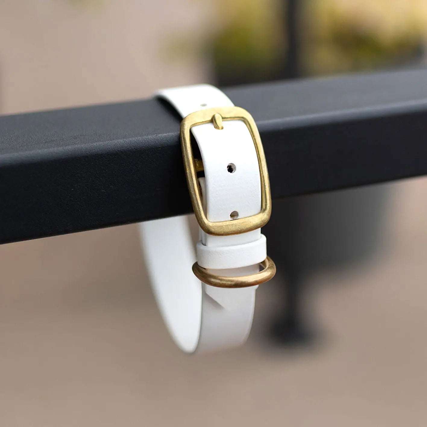 Obroża na sprzączkę dla psa, biały / beza Psiavlova BURA