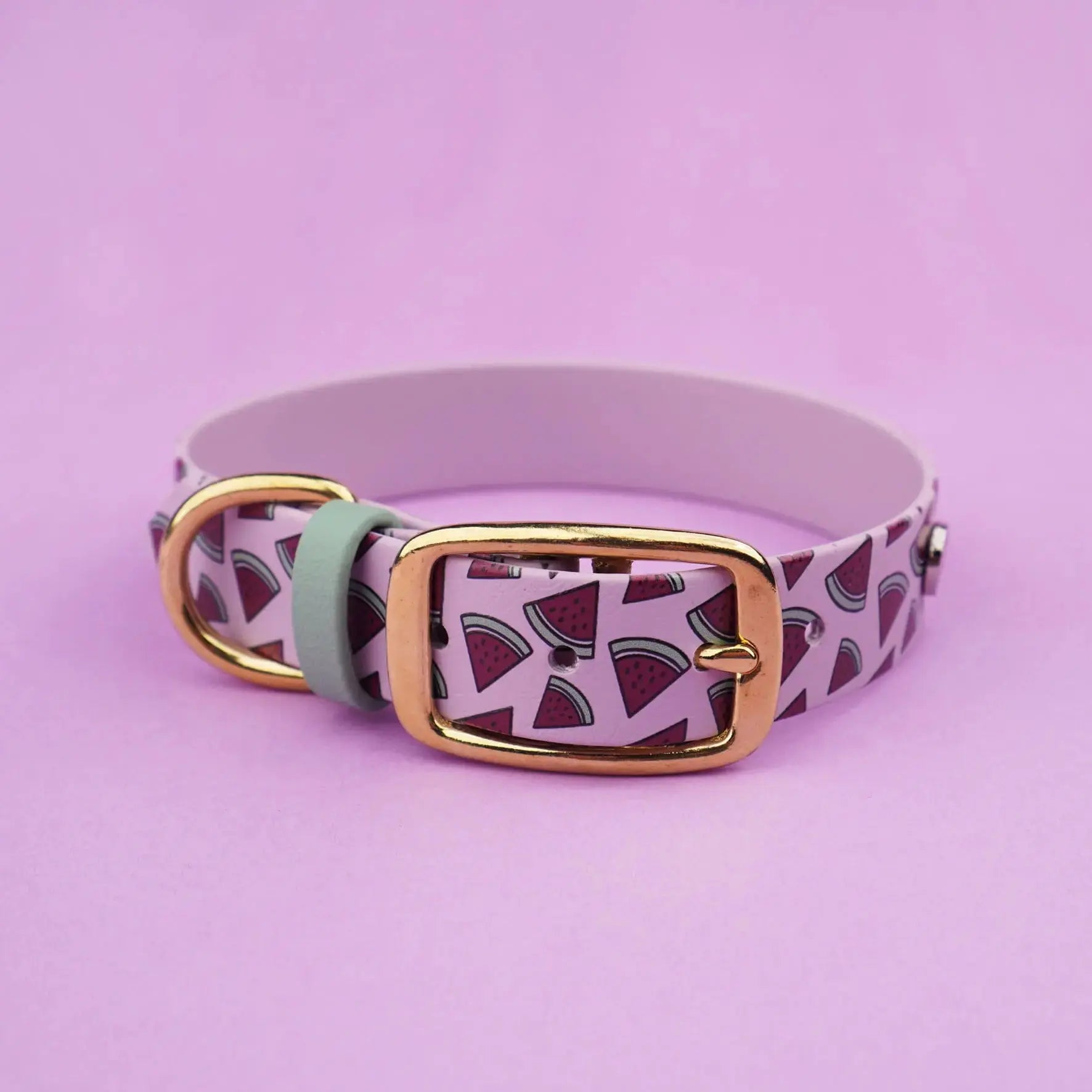 Obroża na sprzączkę dla psa, Arbuziki / lilia BURA