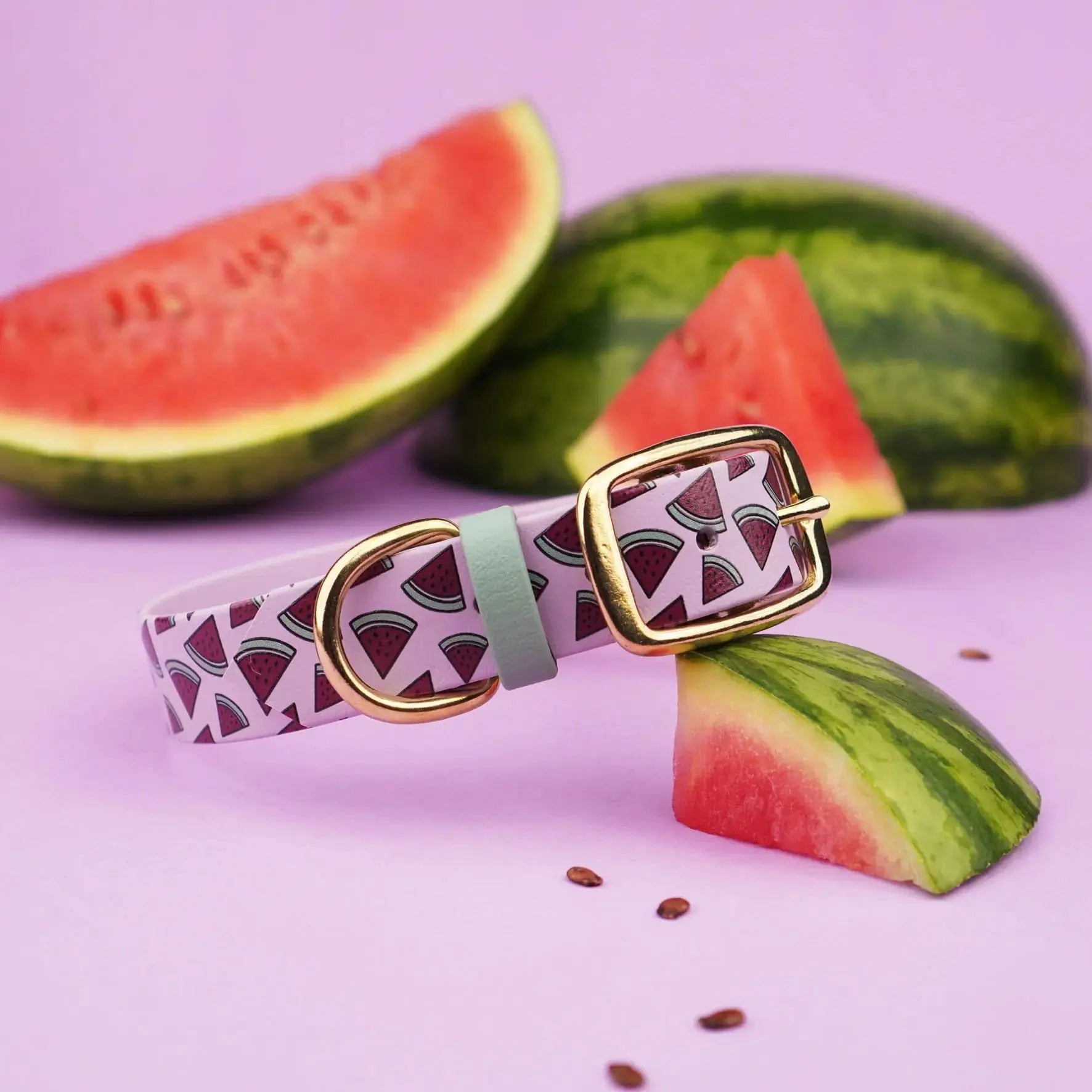 Obroża na sprzączkę dla psa, Arbuziki / lilia BURA