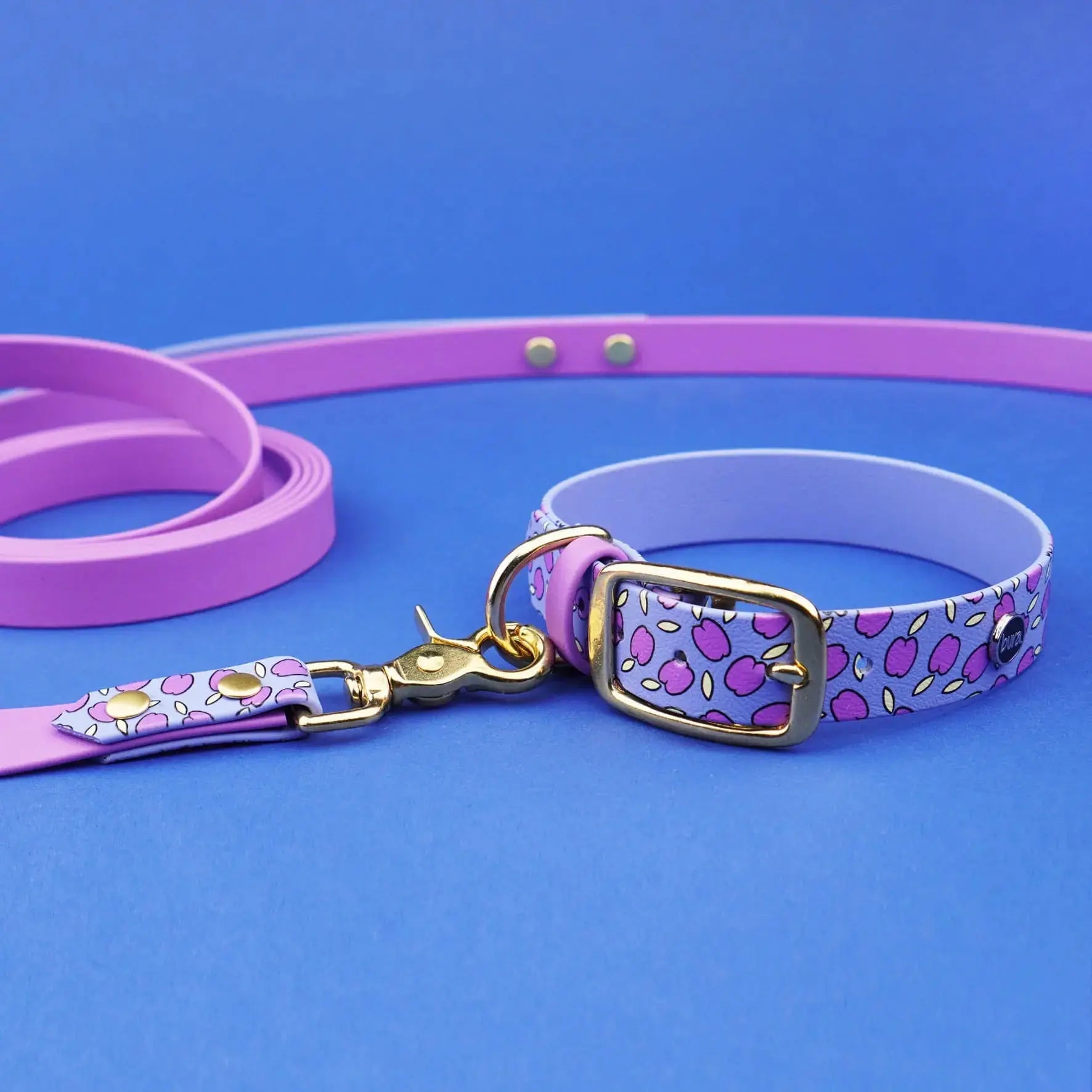 Obroża na sprzączkę dla psa, Śliweczki / niebiesko-lawendowy BURA