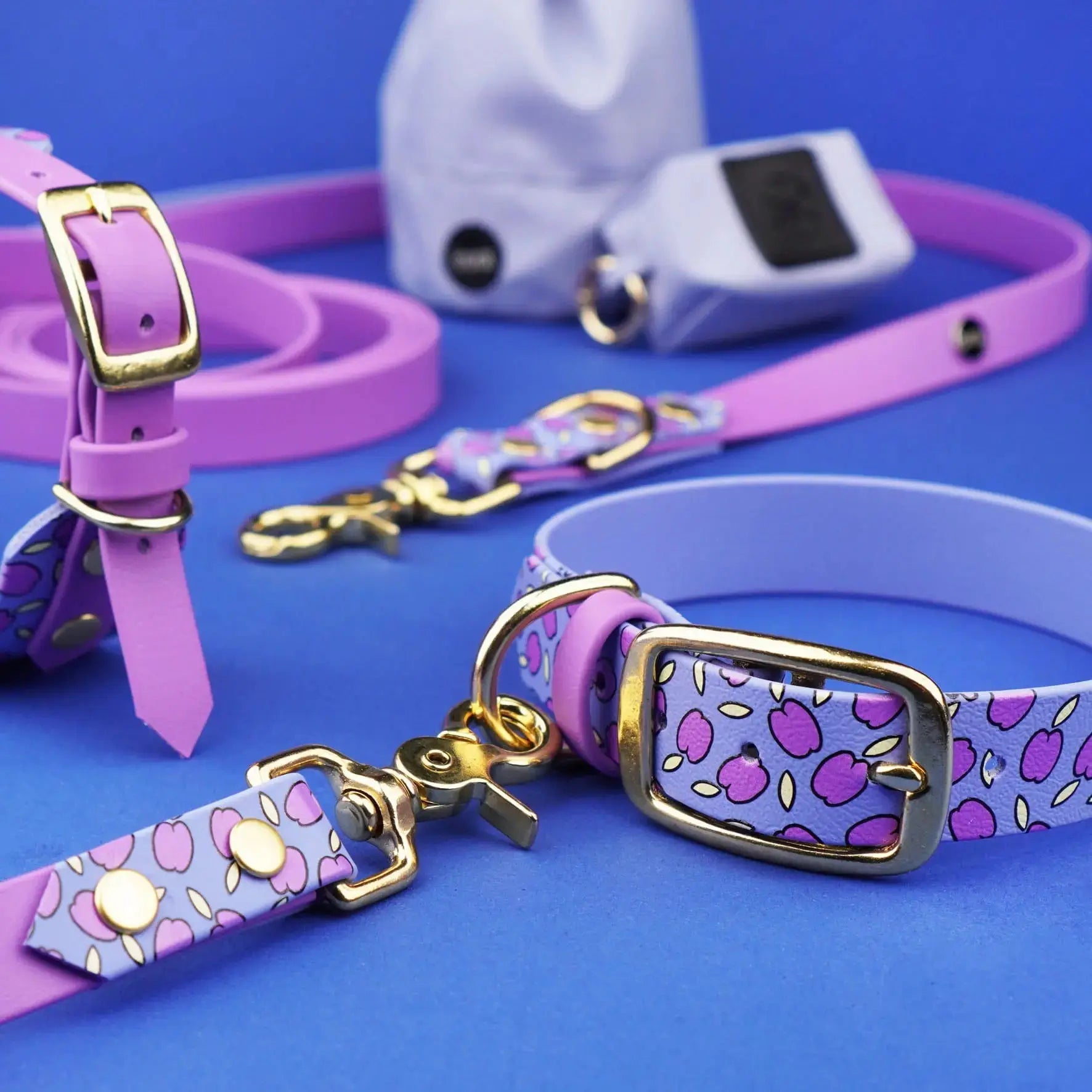 Obroża na sprzączkę dla psa, Śliweczki / niebiesko-lawendowy BURA