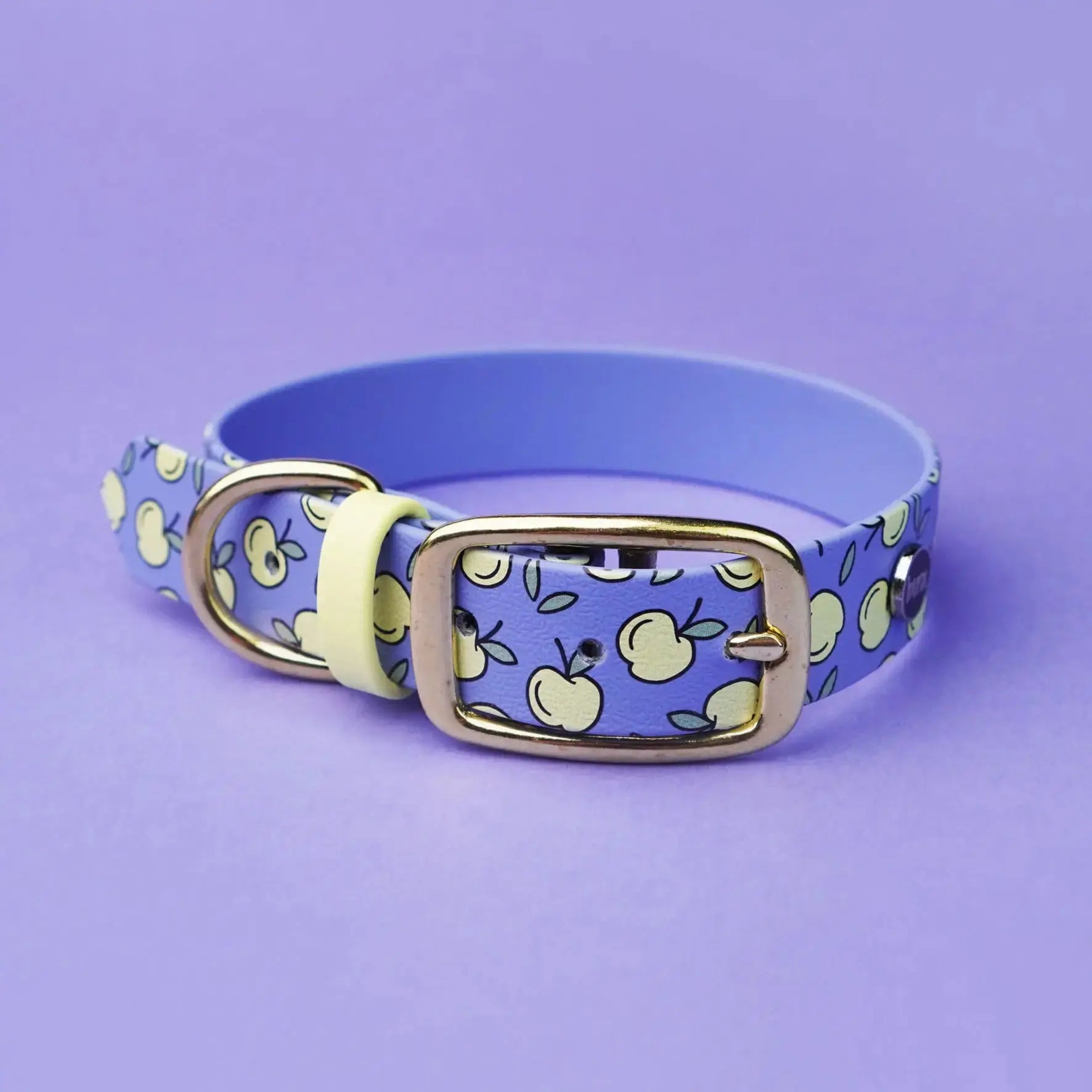 Obroża na sprzączkę dla psa, Jabłuszka / niebiesko-lawendowy BURA