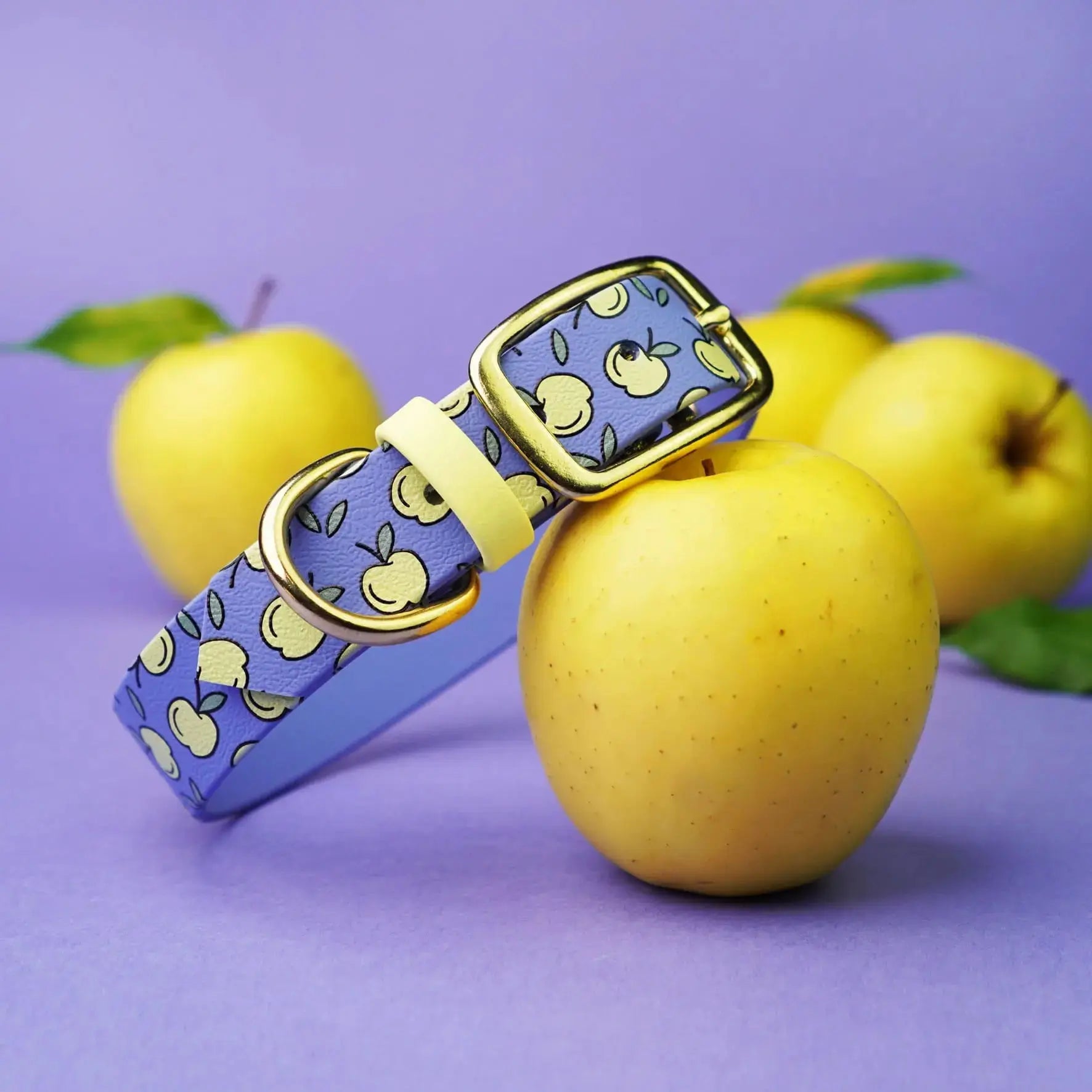 Obroża na sprzączkę dla psa, Jabłuszka / niebiesko-lawendowy BURA