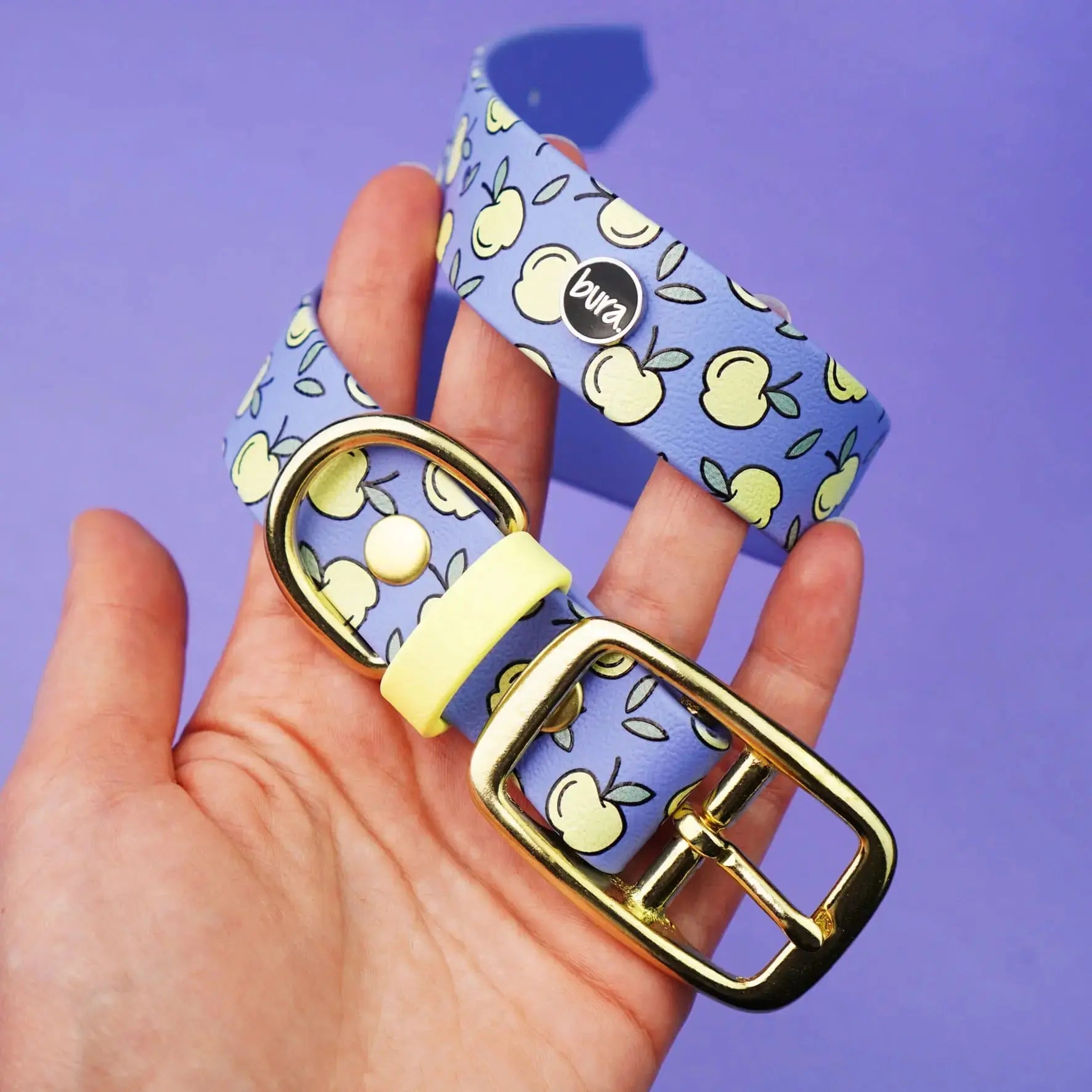Obroża na sprzączkę dla psa, Jabłuszka / niebiesko-lawendowy BURA