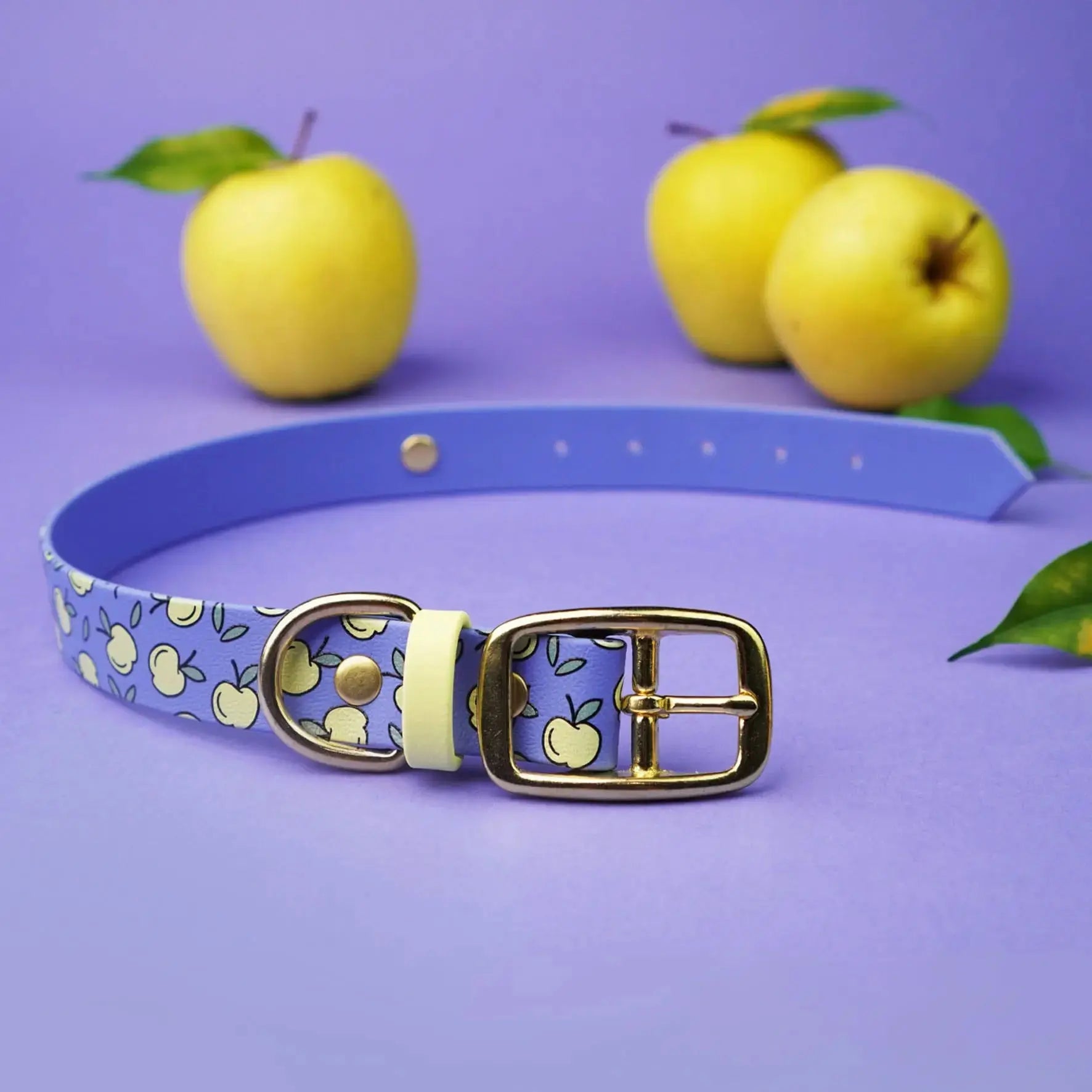 Obroża na sprzączkę dla psa, Jabłuszka / niebiesko-lawendowy BURA