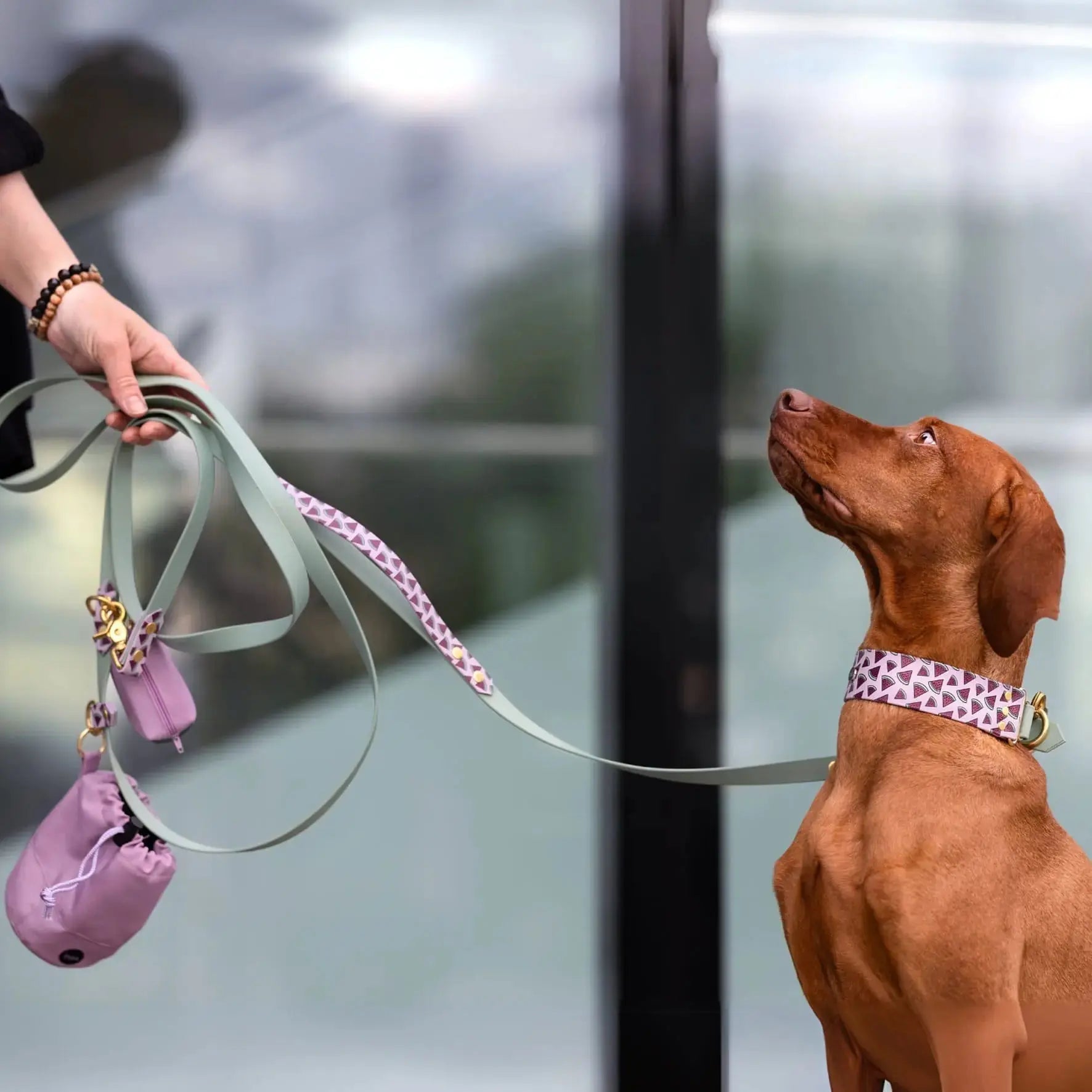 Smycz przepinana multifunkcyjna z Biothane dla psa, Arbuziki / szałwiowy, bordo BURA