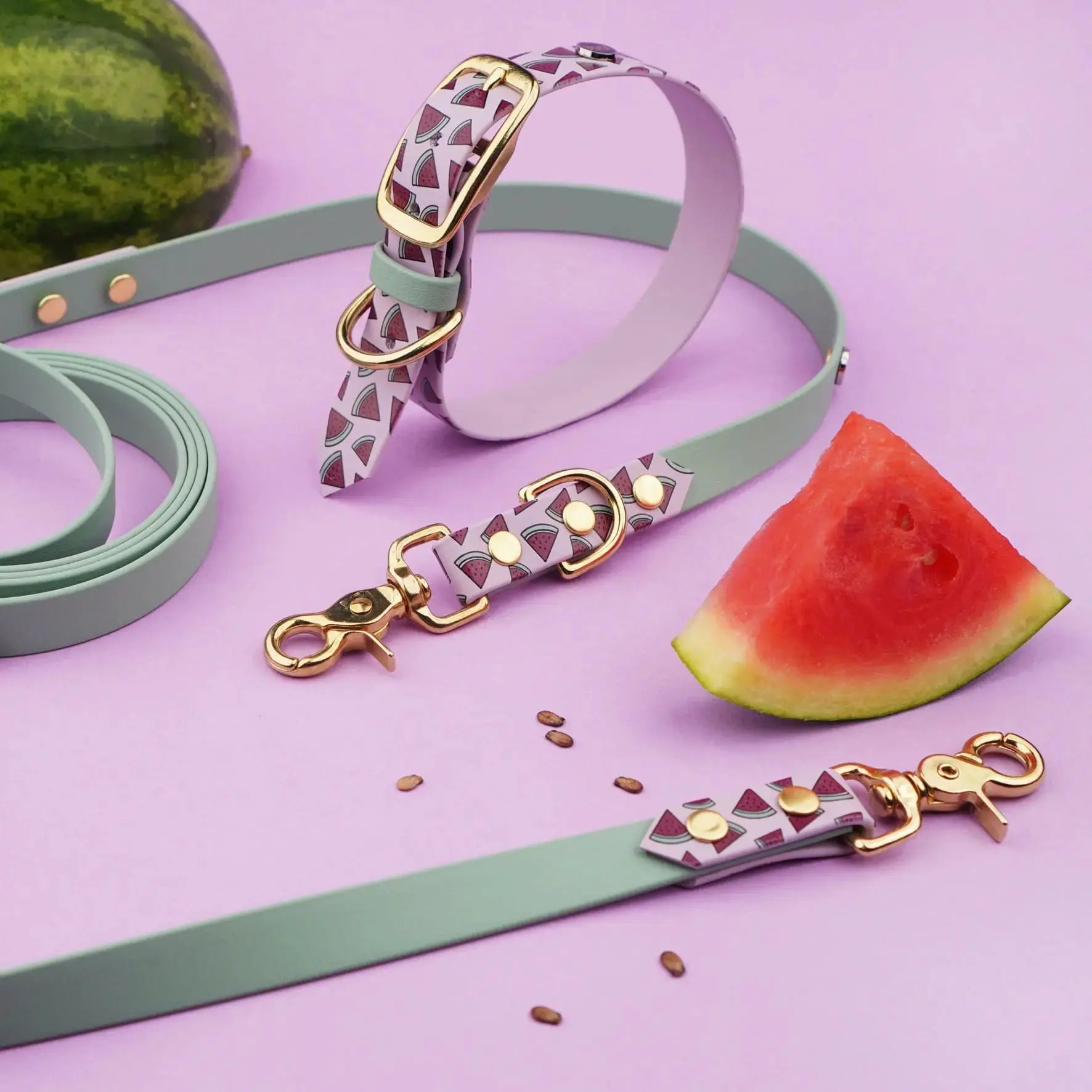 Smycz przepinana multifunkcyjna z Biothane dla psa, Arbuziki / szałwiowy, bordo BURA