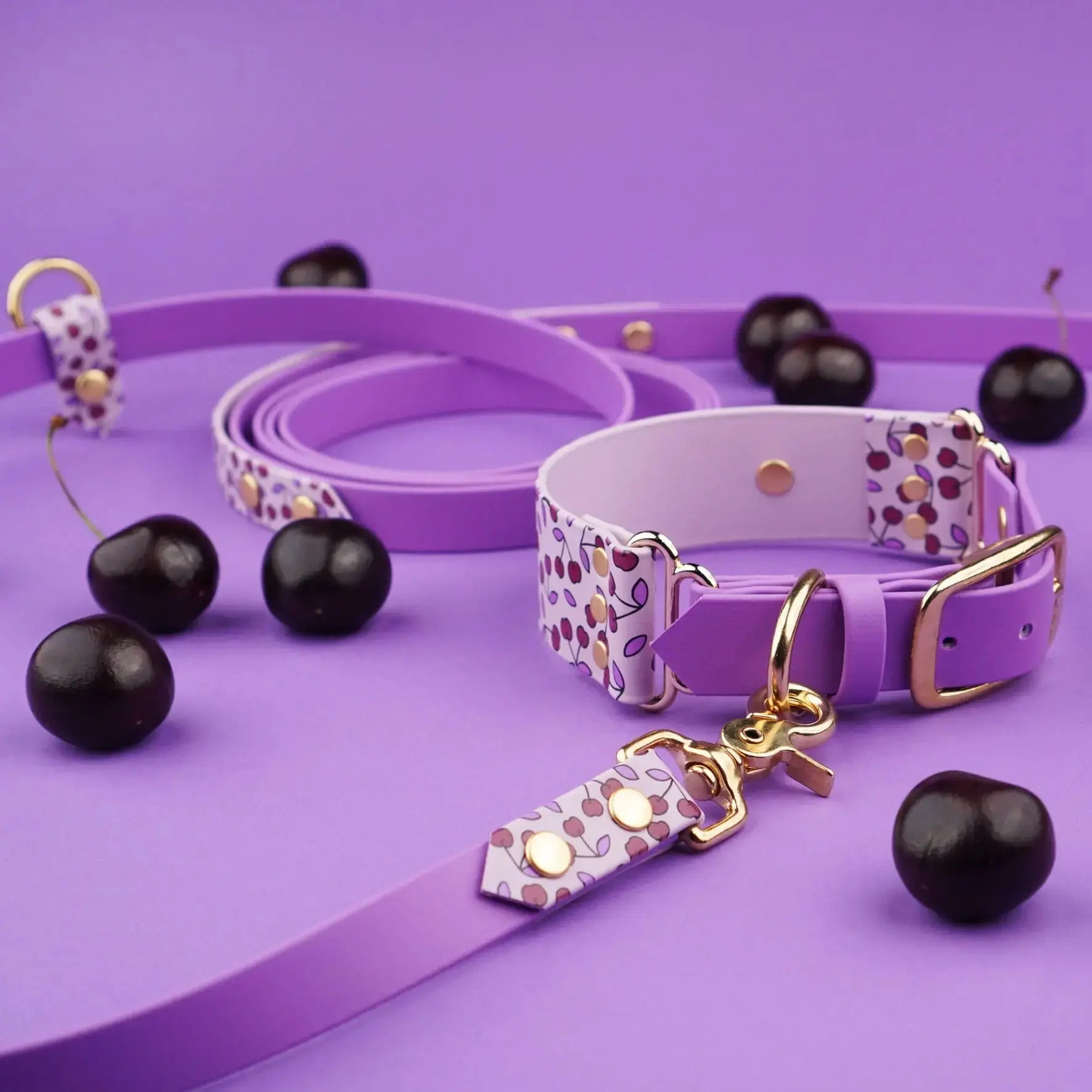 Smycz przepinana multifunkcyjna z Biothane dla psa, Wisienki / bordo, jasny fiolet BURA