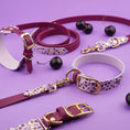 Załaduj obraz do przeglądarki galerii, Smycz przepinana multifunkcyjna z Biothane dla psa, Wisienki / bordo, jasny fiolet BURA