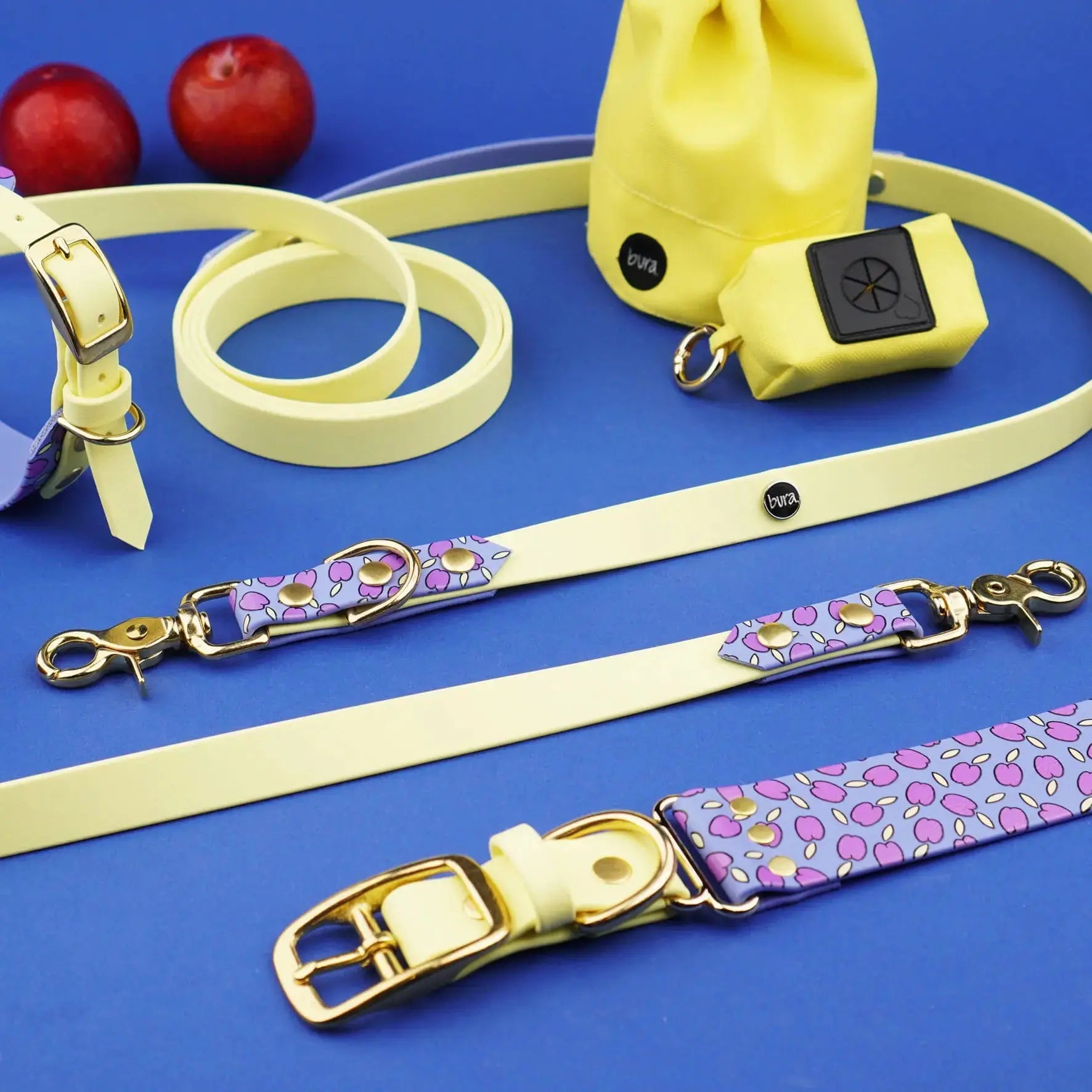 Smycz przepinana multifunkcyjna z Biothane dla psa, Śliweczki / jasny fiolet, pastelowy żółty BURA