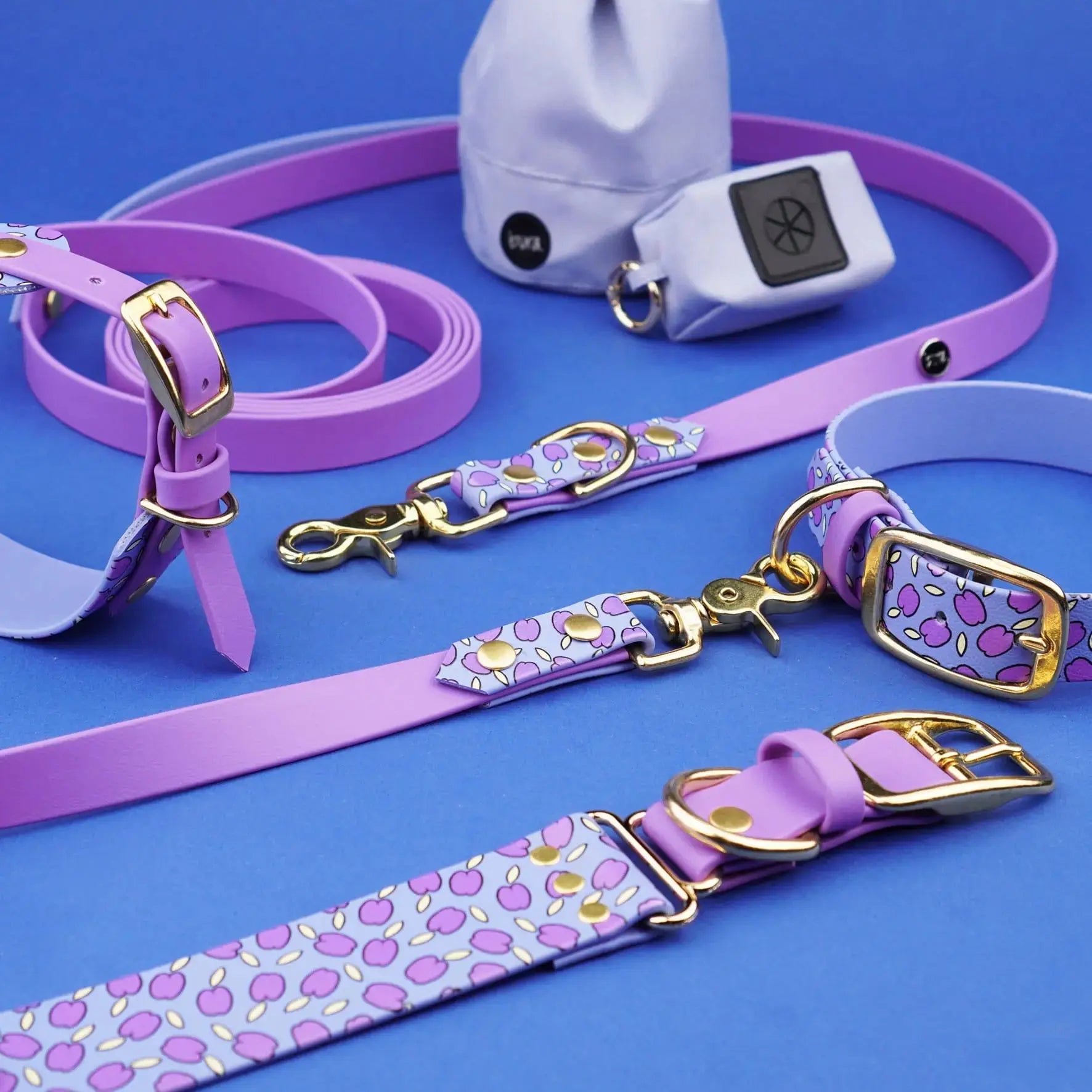 Smycz przepinana multifunkcyjna z Biothane dla psa, Śliweczki / jasny fiolet, pastelowy żółty BURA