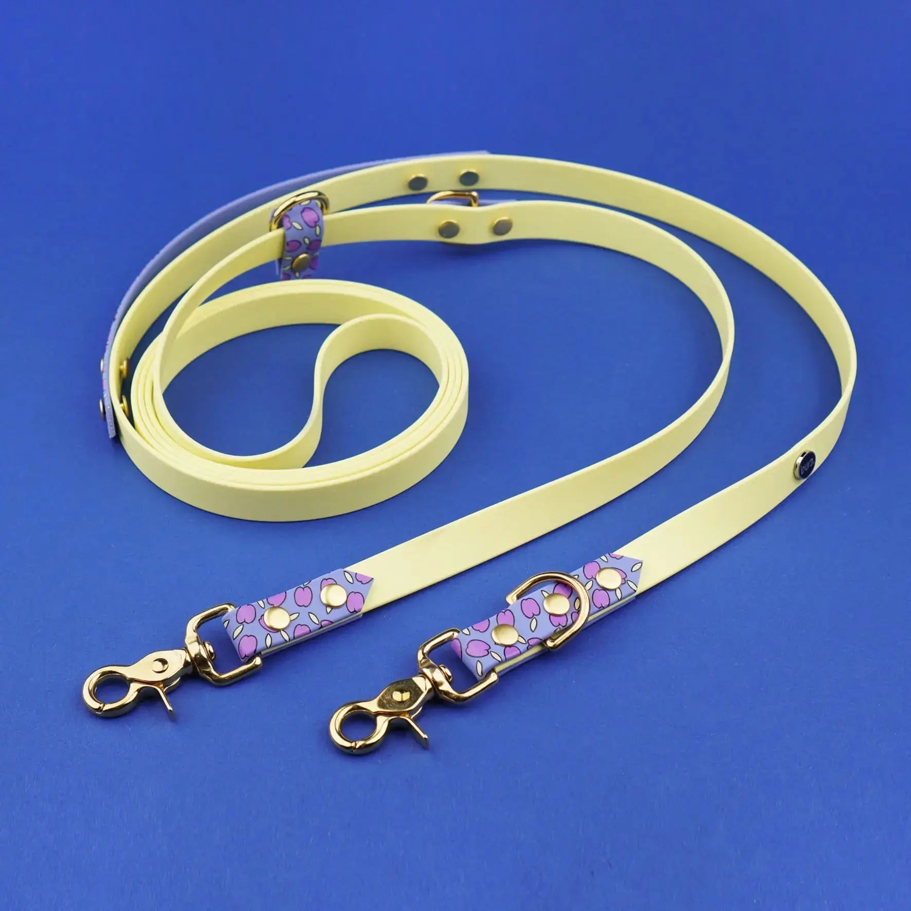 Smycz przepinana multifunkcyjna z Biothane dla psa, Śliweczki / jasny fiolet, pastelowy żółty BURA
