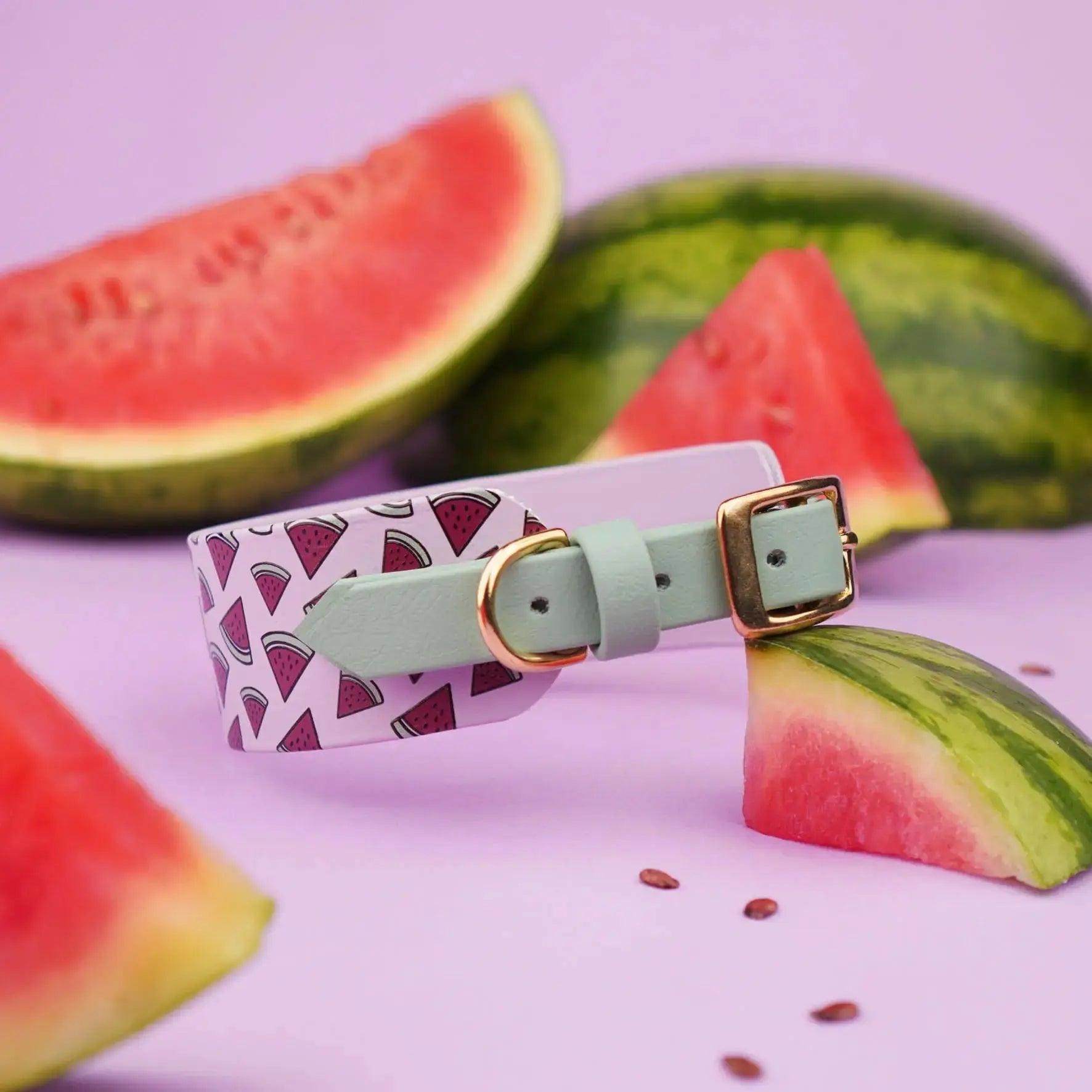 Obroża dla Charta na sprzączkę, Arbuziki / lilia BURA