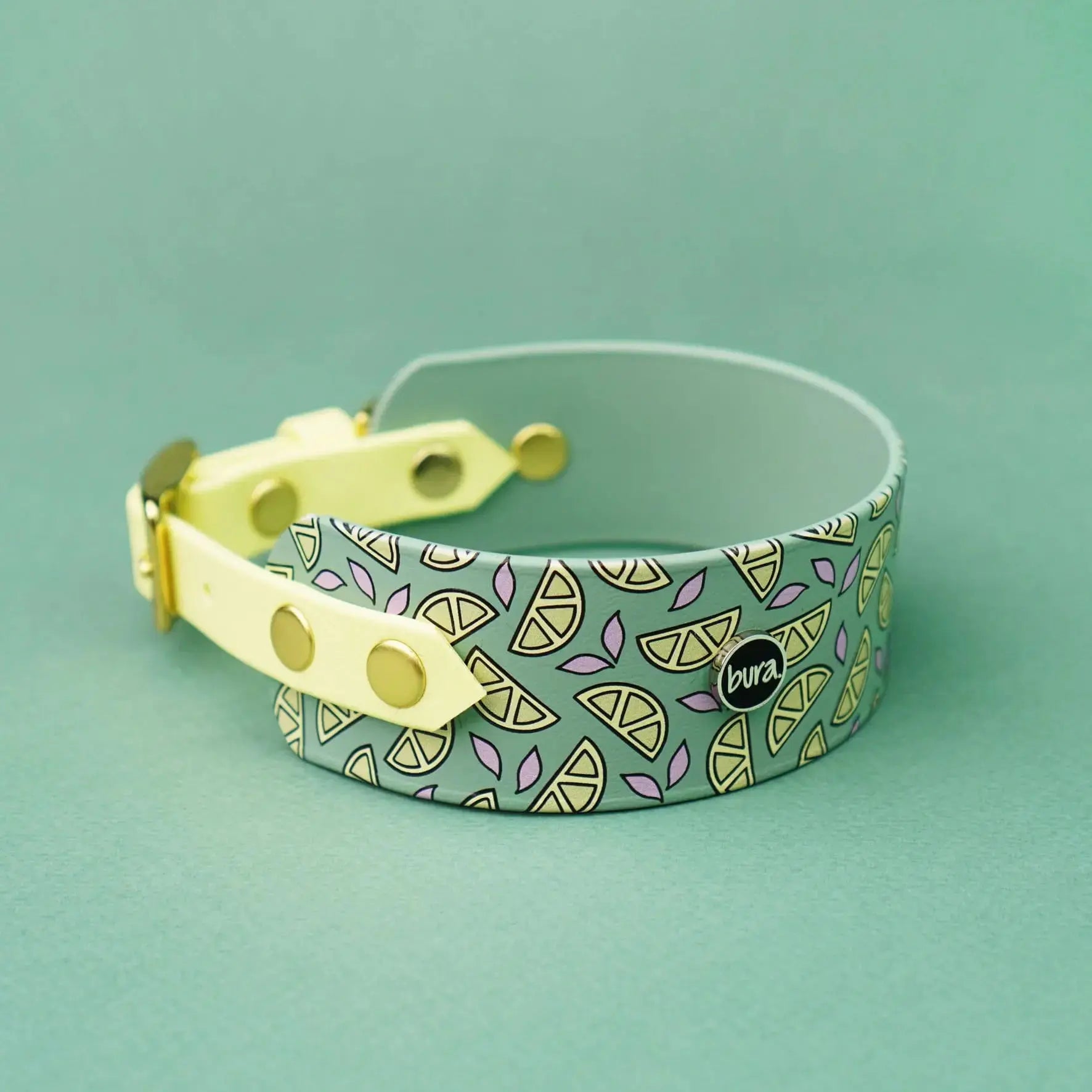 Obroża dla Charta na sprzączkę, Cytrynki / szałwiowy BURA