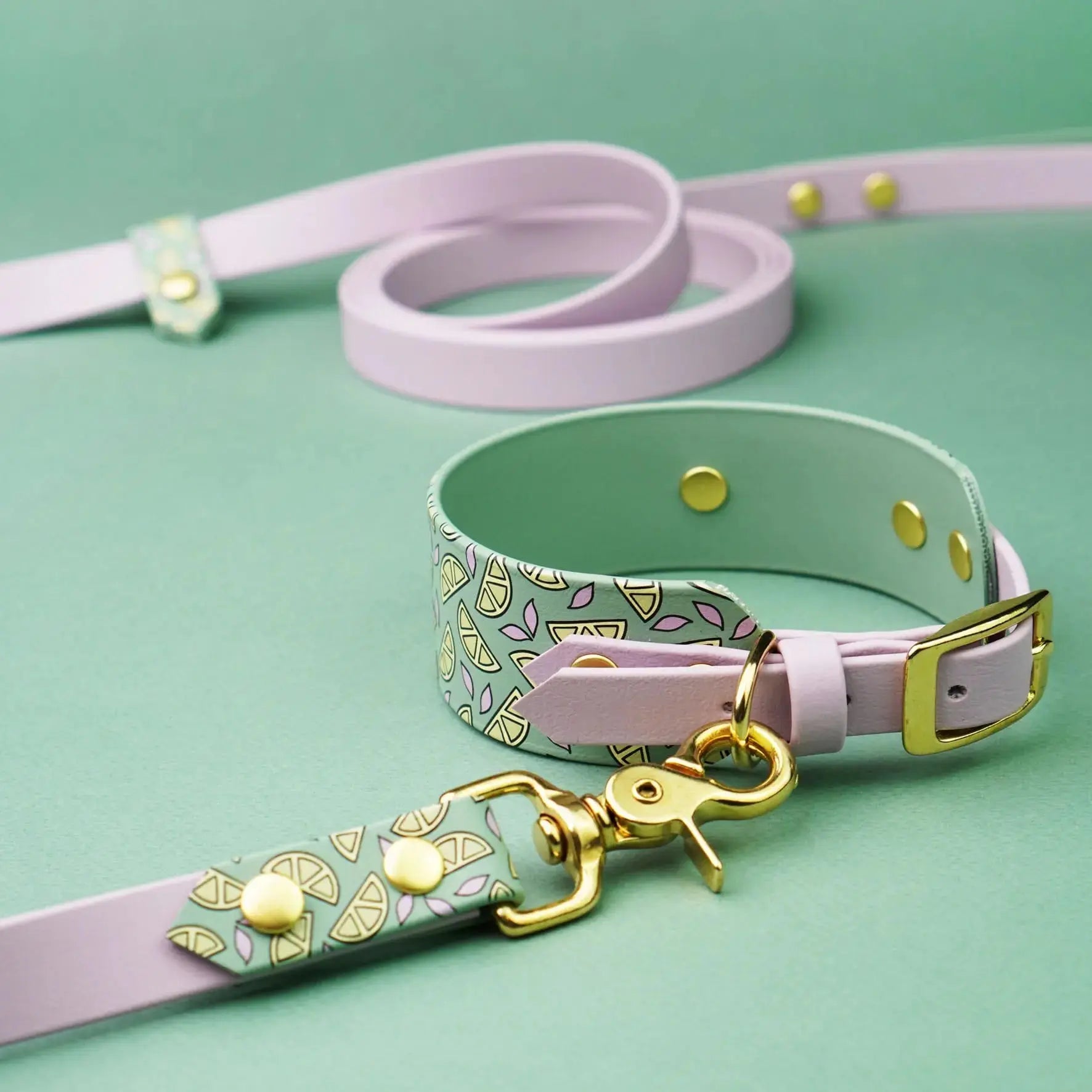 Obroża dla Charta na sprzączkę, Cytrynki / szałwiowy BURA