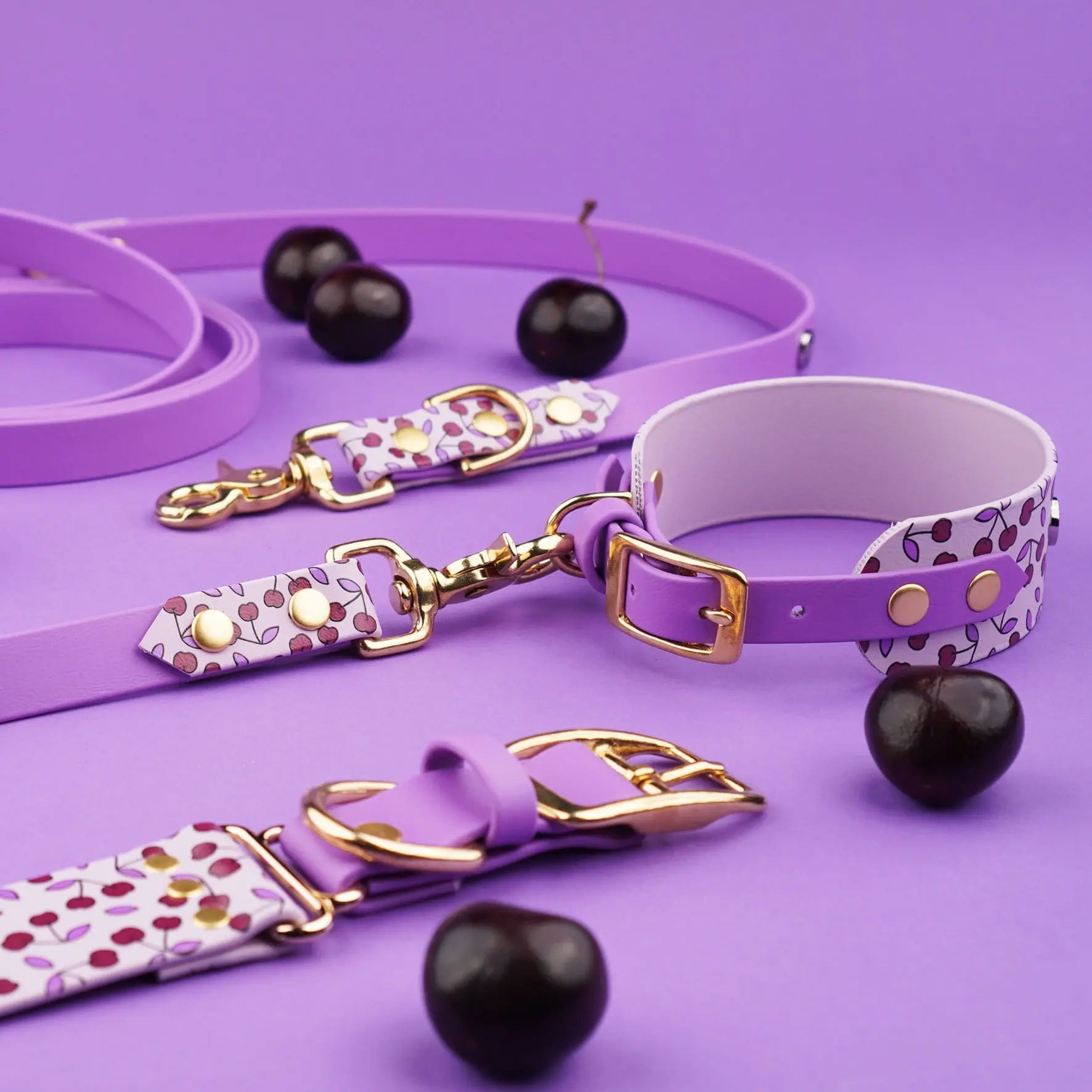 Obroża dla Charta na sprzączkę, Wisienki / liliowy BURA