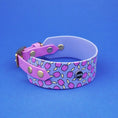 Załaduj obraz do przeglądarki galerii, Obroża dla Charta na sprzączkę, Śliweczki / niebiesko-lawendowy BURA