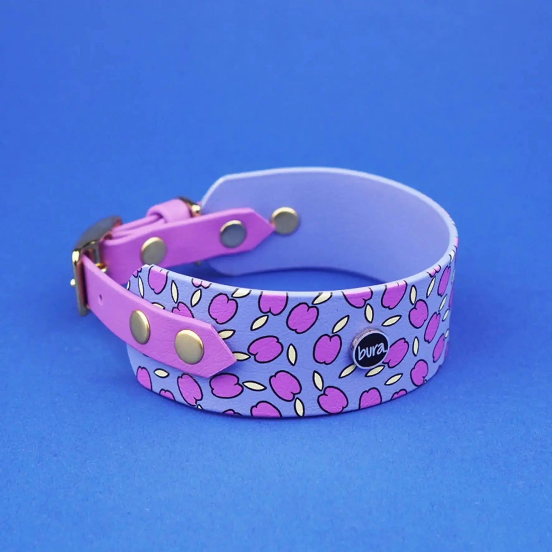 Obroża dla Charta na sprzączkę, Śliweczki / niebiesko-lawendowy BURA
