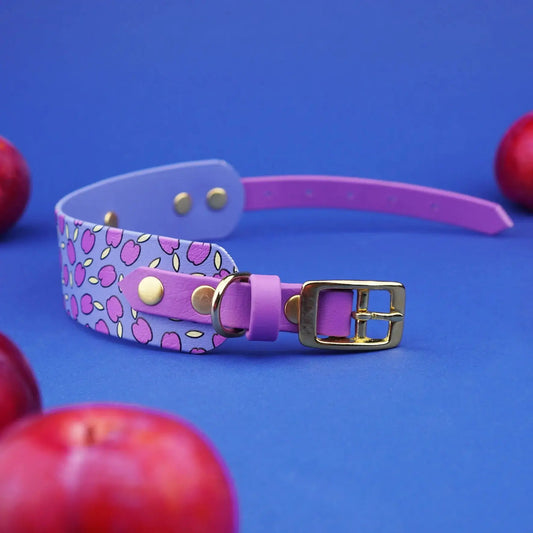 Obroża dla Charta na sprzączkę, Śliweczki / niebiesko-lawendowy BURA