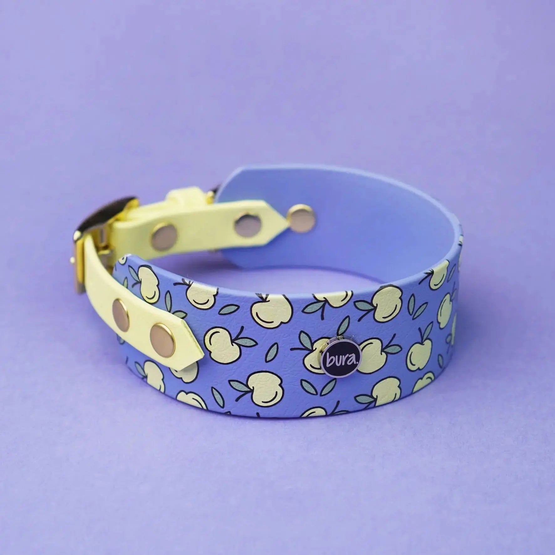Obroża dla Charta na sprzączkę, Jabłuszka / niebiesko-lawendowy BURA