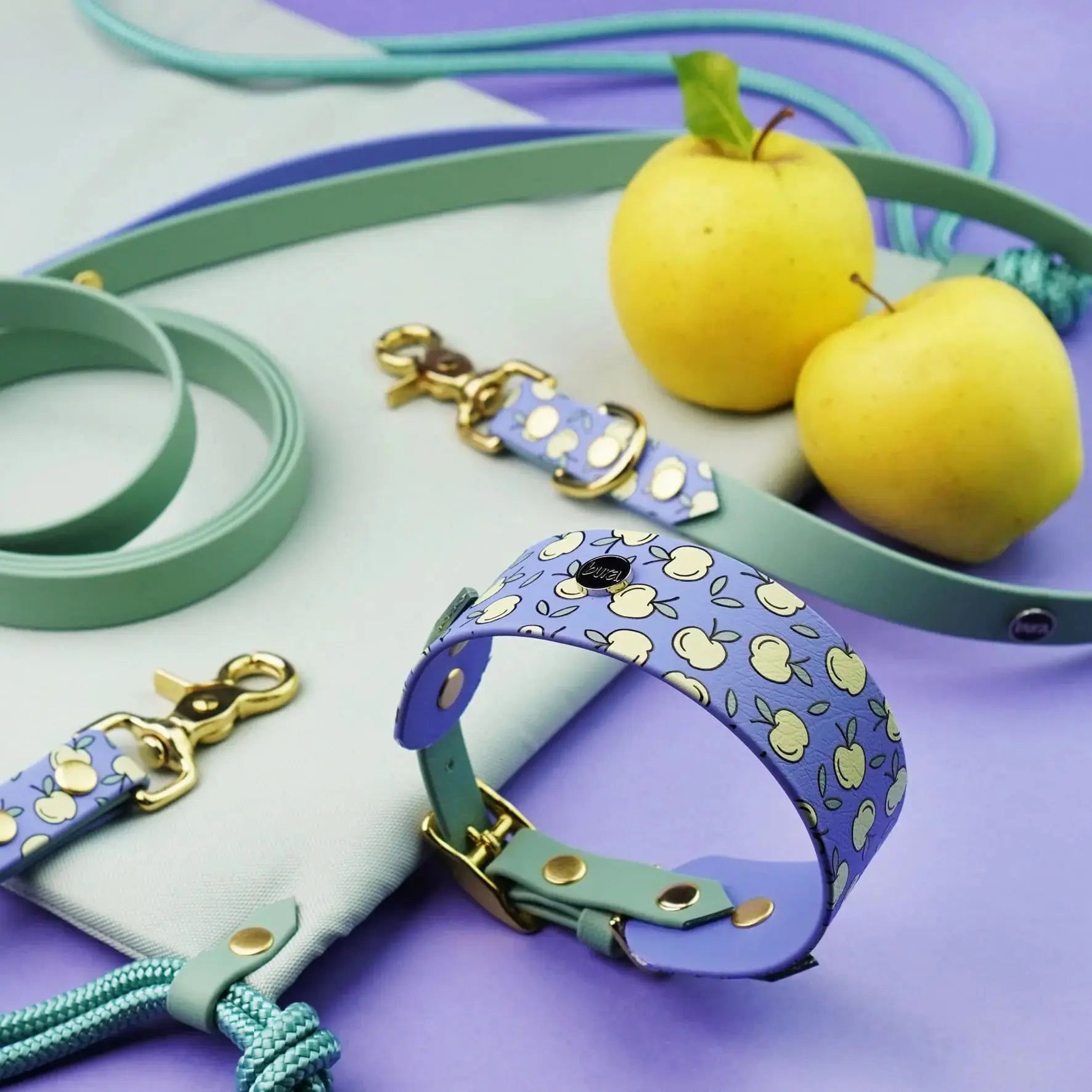Obroża dla Charta na sprzączkę, Jabłuszka / niebiesko-lawendowy BURA