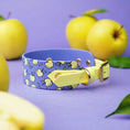 Załaduj obraz do przeglądarki galerii, Obroża dla Charta na sprzączkę, Jabłuszka / niebiesko-lawendowy BURA
