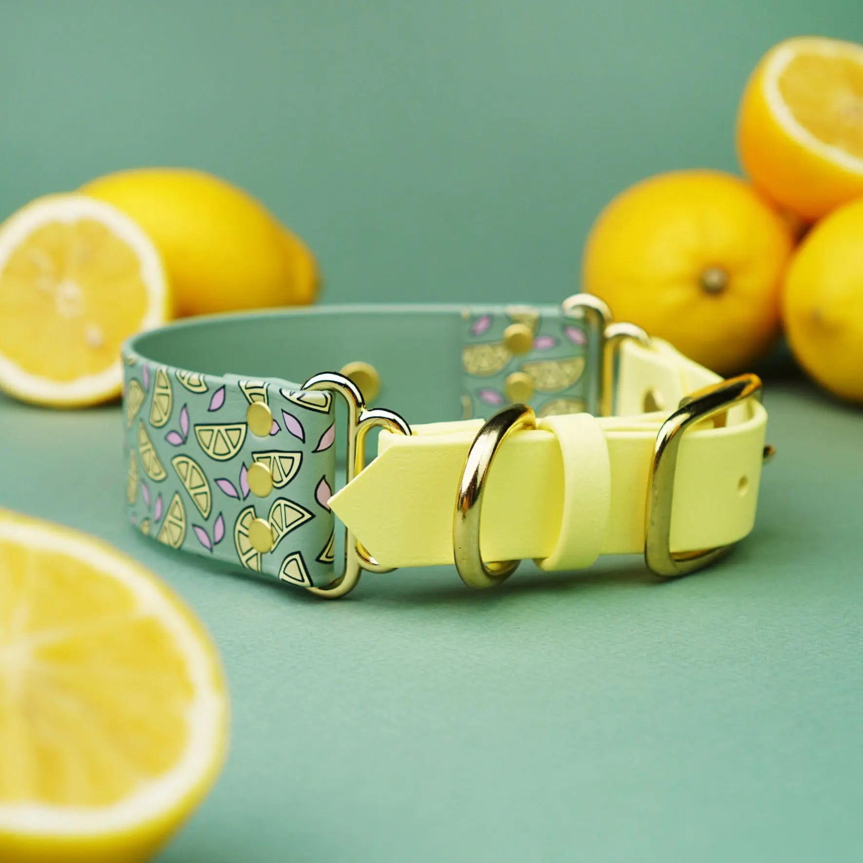 Szeroka obroża na sprzączkę, Cytrynki / szałwiowy BURA