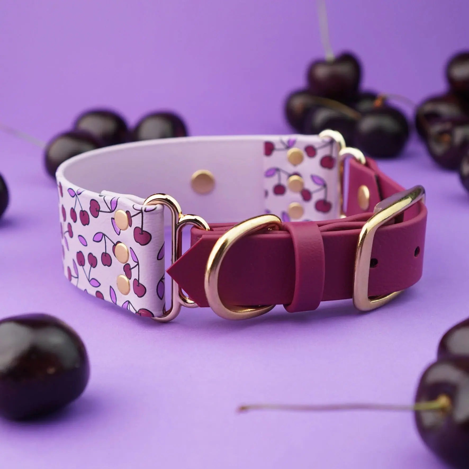 Szeroka obroża na sprzączkę, Wisienki / liliowy BURA