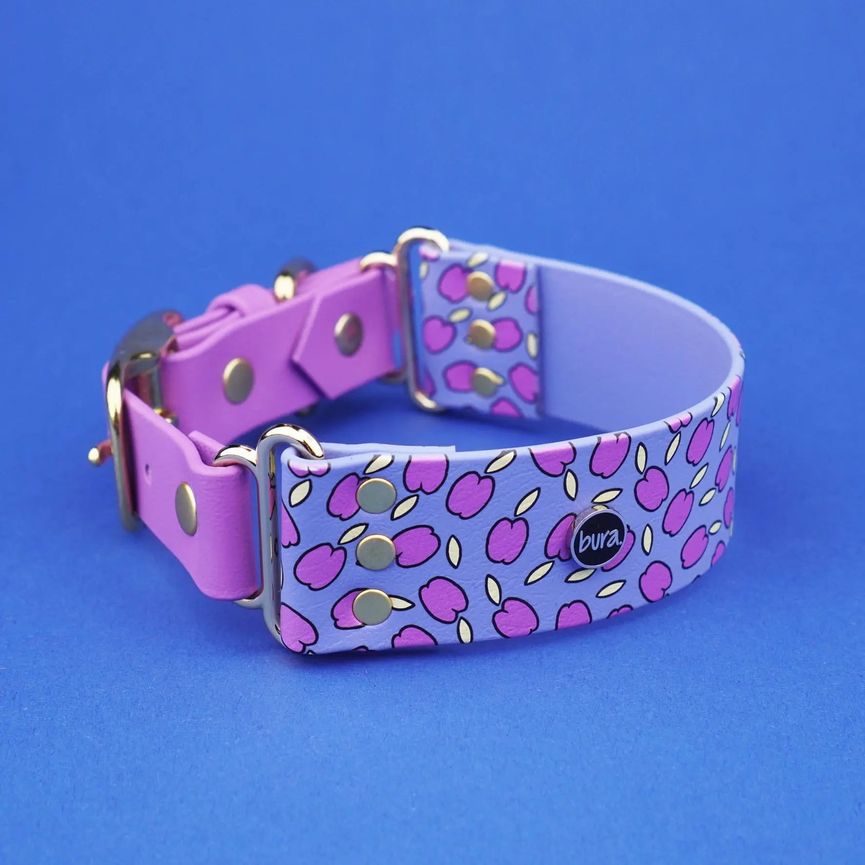Szeroka obroża na sprzączkę, Śliweczki / niebiesko-lawendowy BURA