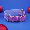 Załaduj obraz do przeglądarki galerii, Szeroka obroża na sprzączkę, Śliweczki / niebiesko-lawendowy BURA