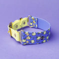 Załaduj obraz do przeglądarki galerii, Szeroka obroża na sprzączkę, Jabłuszka / niebiesko-lawendowy BURA