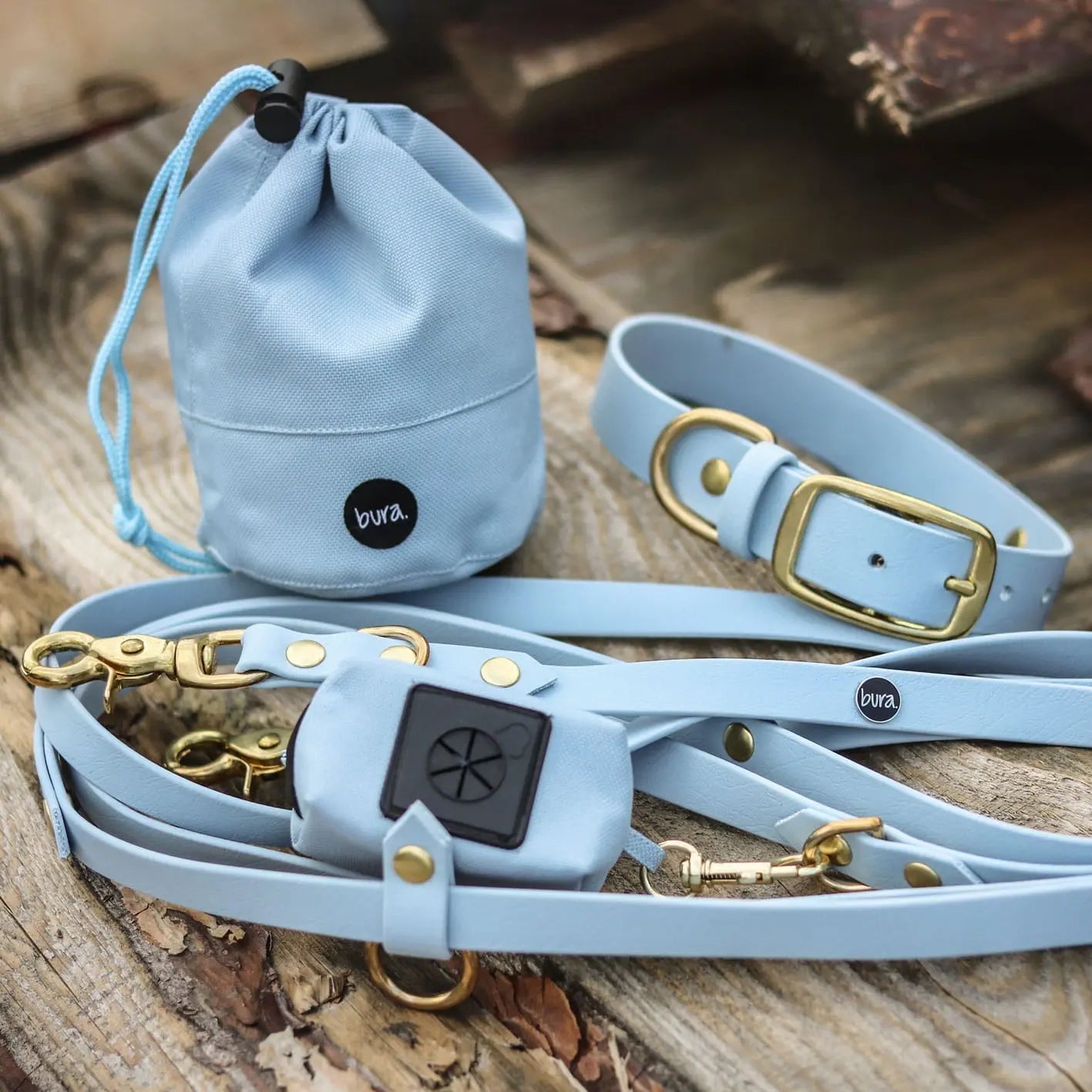 Obroża na sprzączkę dla psa, pastelowy niebieski / PUPPY blue BURA