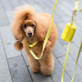 Załaduj obraz do przeglądarki galerii, Obroża na sprzączkę dla psa, pastelowy żółty / PUP'S Paradise BURA
