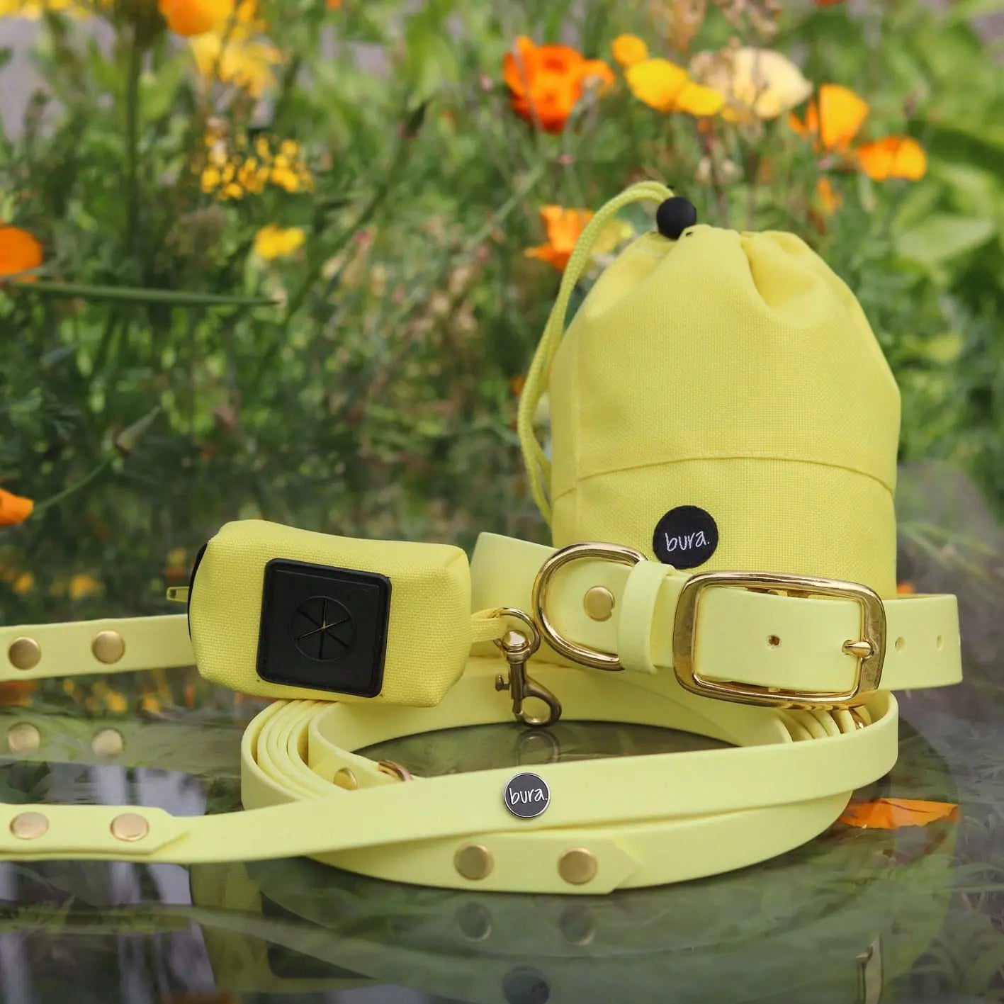 Obroża na sprzączkę dla psa, pastelowy żółty / PUP'S Paradise BURA