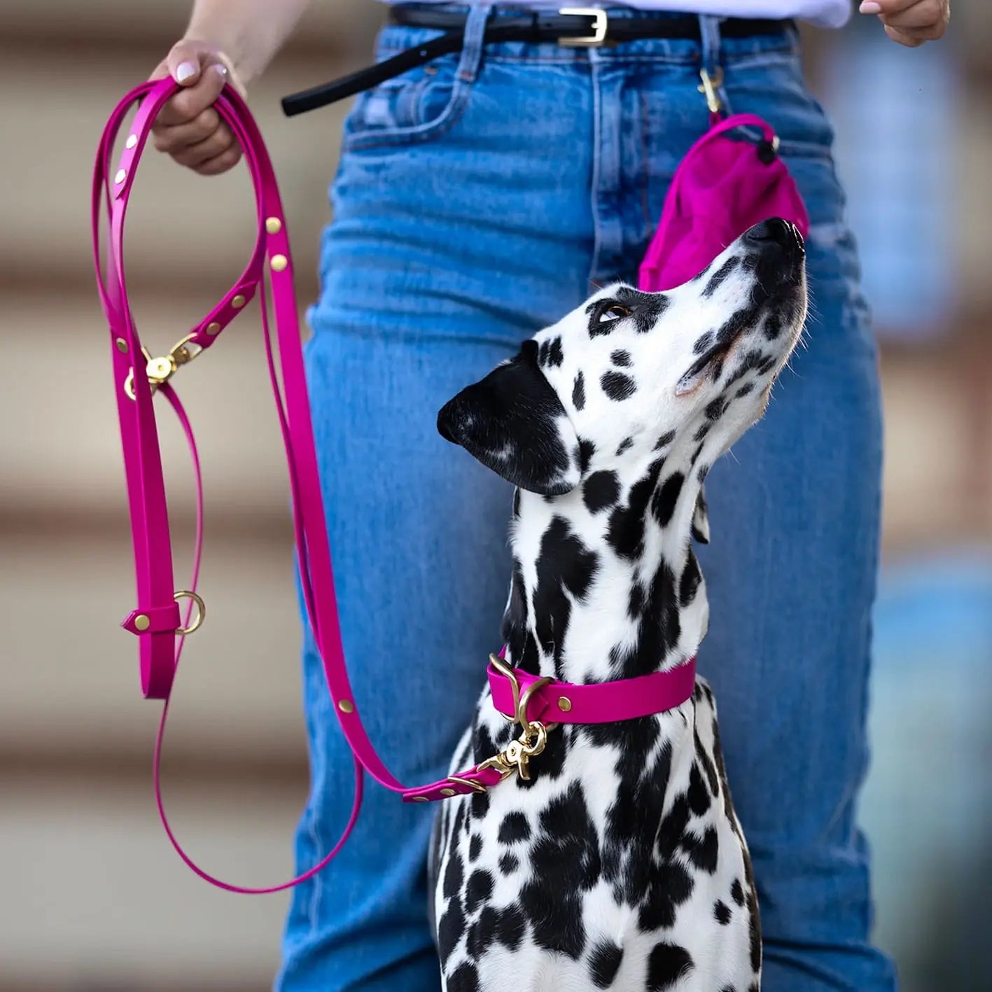 Obroża na sprzączkę dla psa, magenta / Pup Fiction BURA