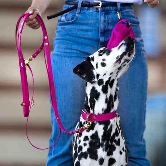 Obroża na sprzączkę dla psa, magenta / Pup Fiction BURA