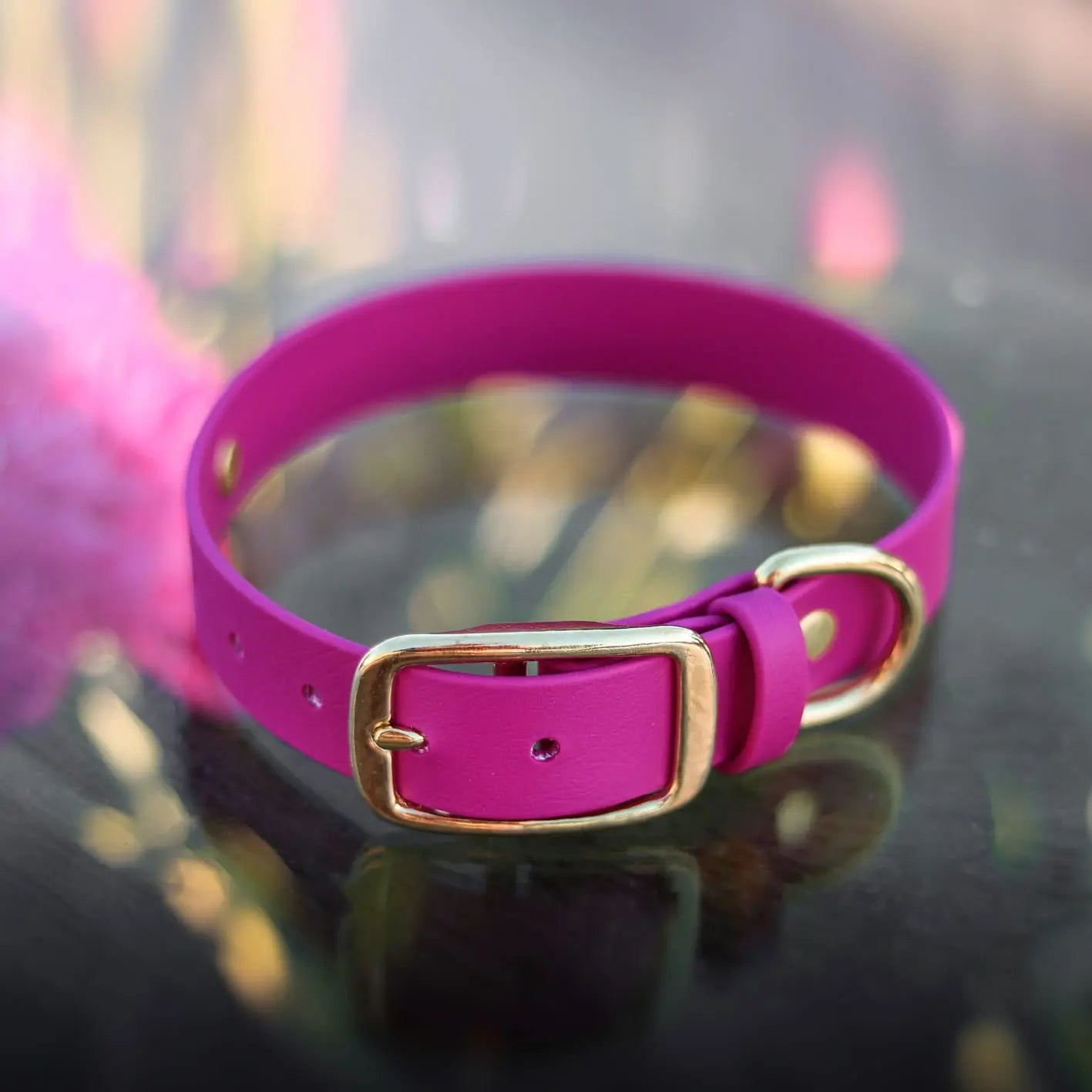 Obroża na sprzączkę dla psa, magenta / Pup Fiction BURA
