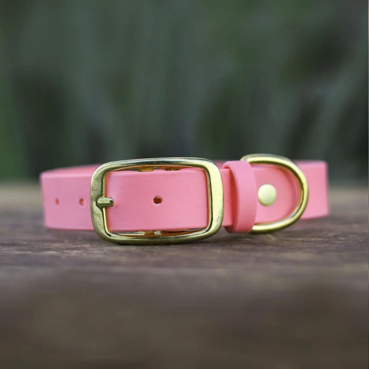 Obroża na sprzączkę dla psa, pastelowy róż / PUPPY pink BURA