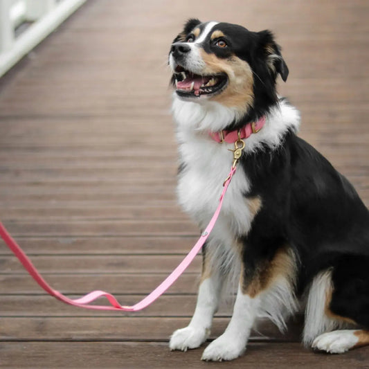 Obroża na sprzączkę dla psa, pastelowy róż / PUPPY pink BURA