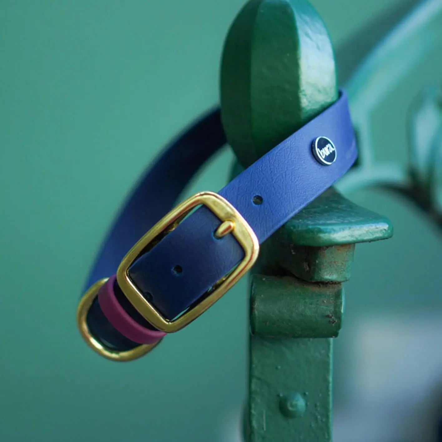 Obroża na sprzączkę dla psa, granatowo-bordowy / Bura Szmula BURA