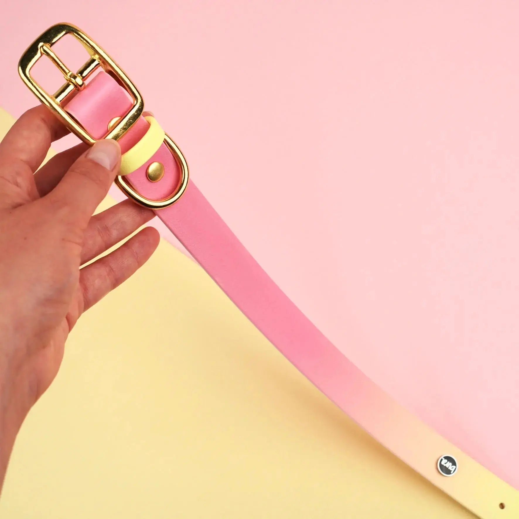 Obroża na sprzączkę dla psa, Pink Malibu BURA
