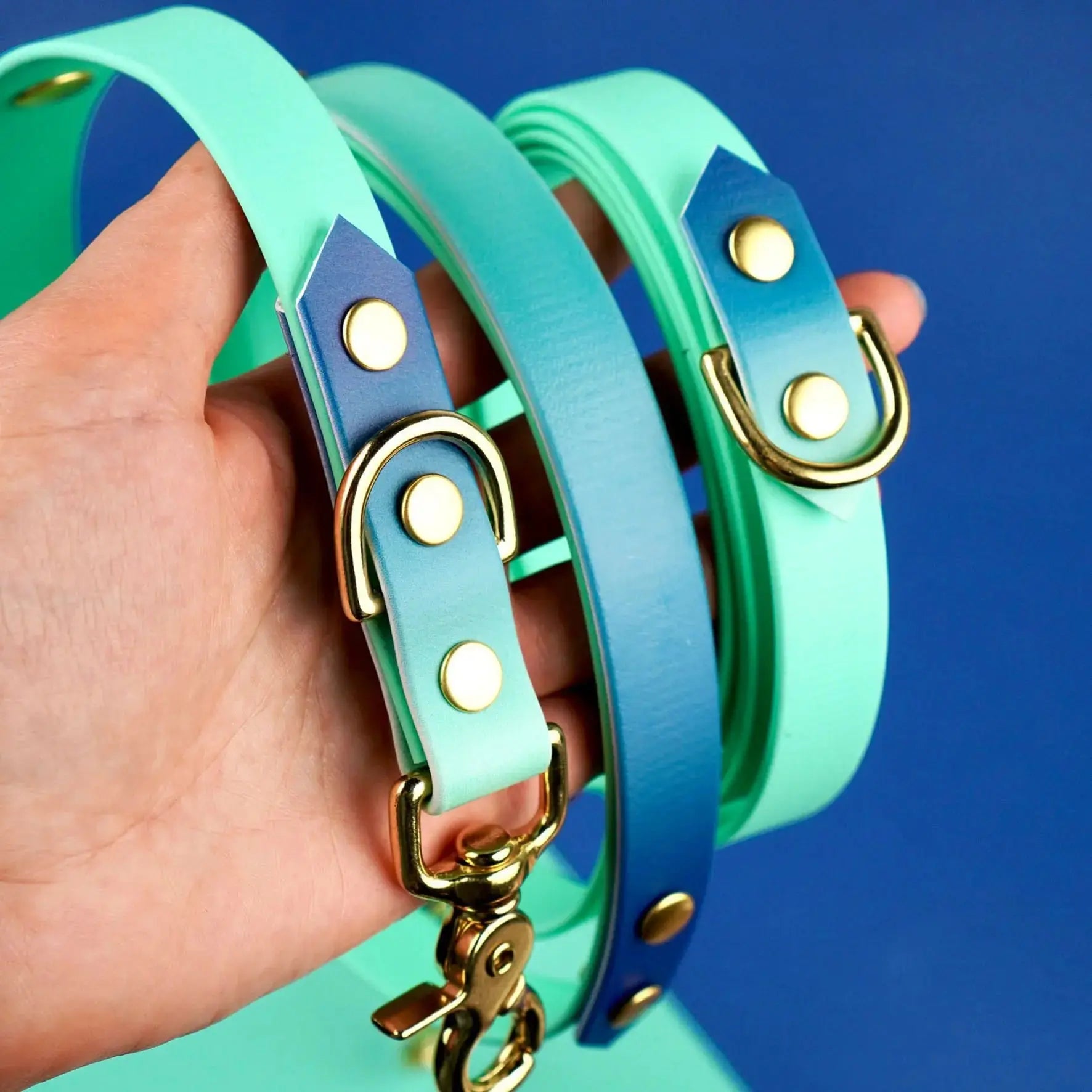 Smycz przepinana multifunkcyjna z Biothane dla psa, Blue Lagoon BURA