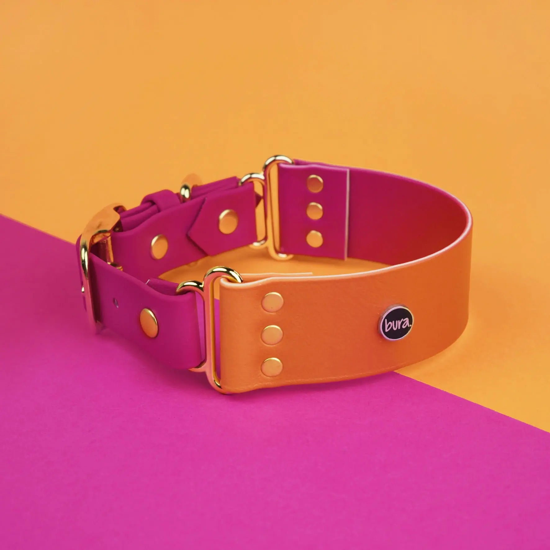 Szeroka obroża na sprzączkę, Tequila Sunrise BURA