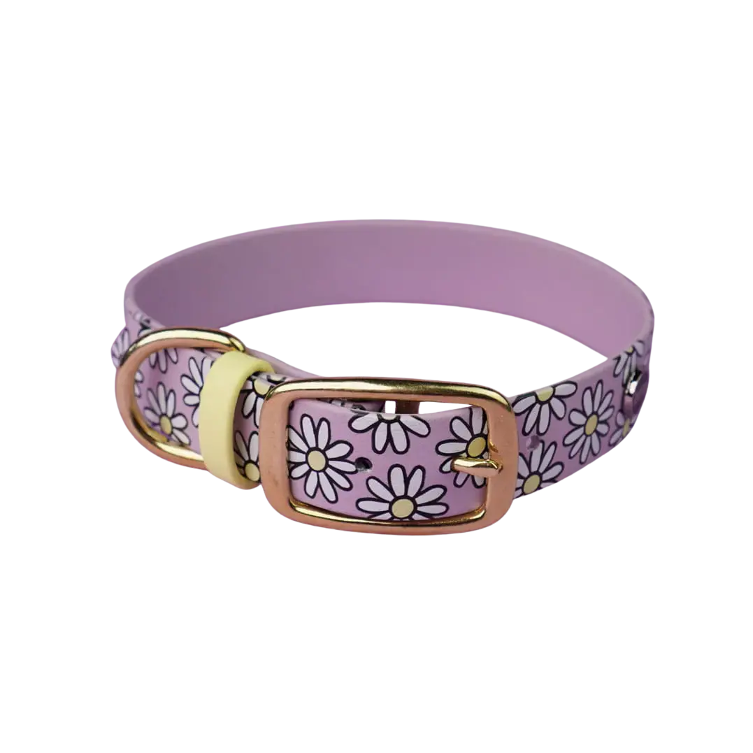Obroża na sprzączkę dla psa, Stokrotki / lilia BURA