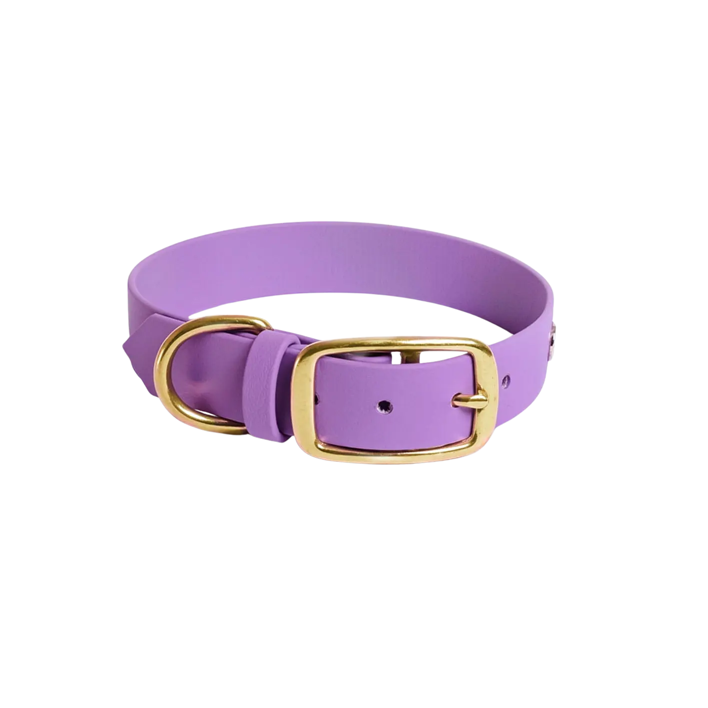 Obroża na sprzączkę dla psa, jasny fioletowy / FURRY tale BURA