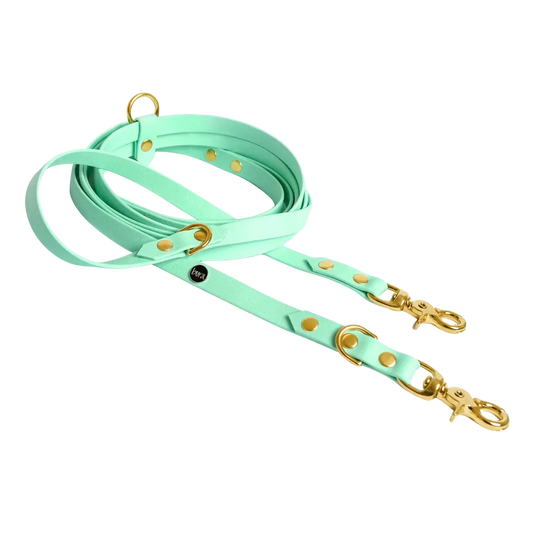 Smycz przepinana multifunkcyjna z Biothane dla psa, miętowy / psia miętka BURA