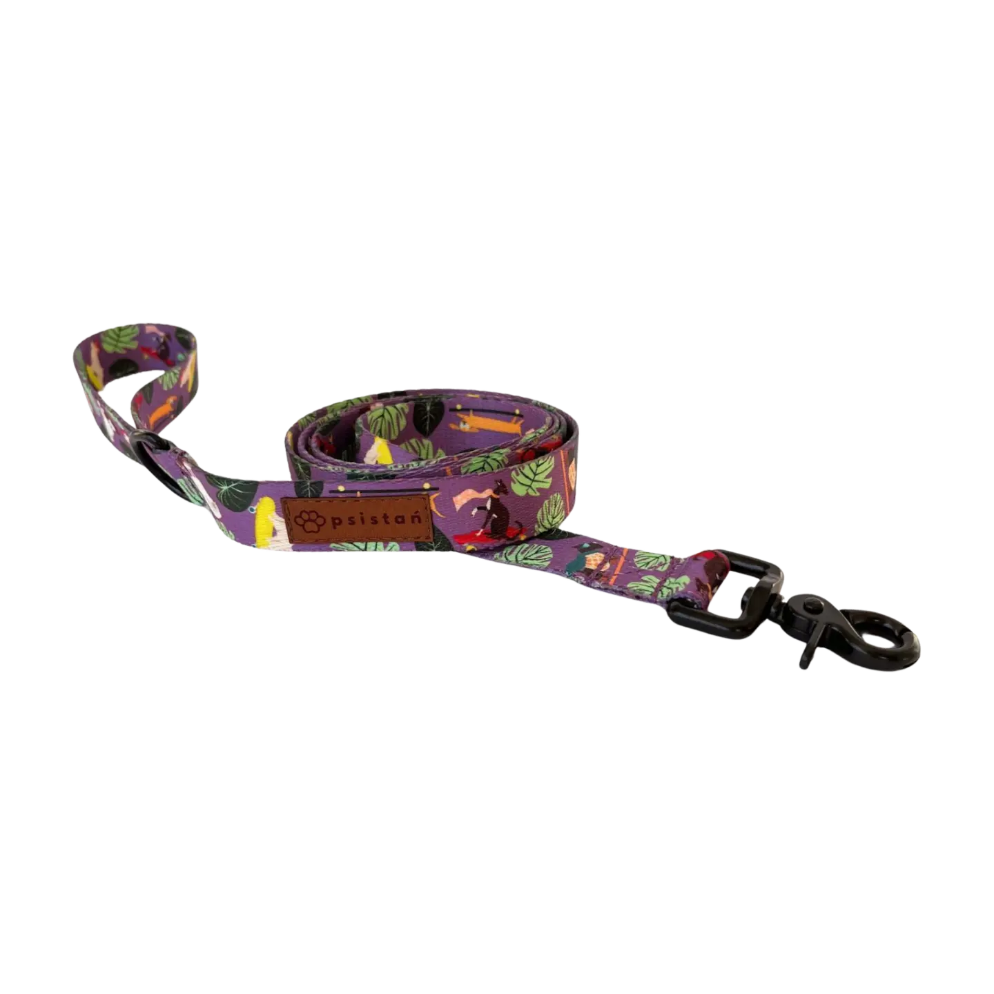 Smycz miejska Pieski na deski psistań