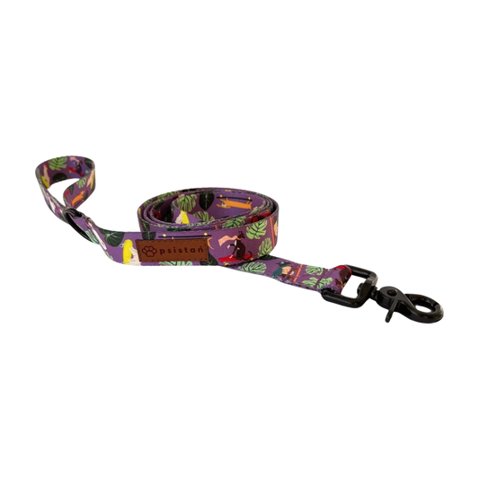 Smycz miejska Pieski na deski psistań