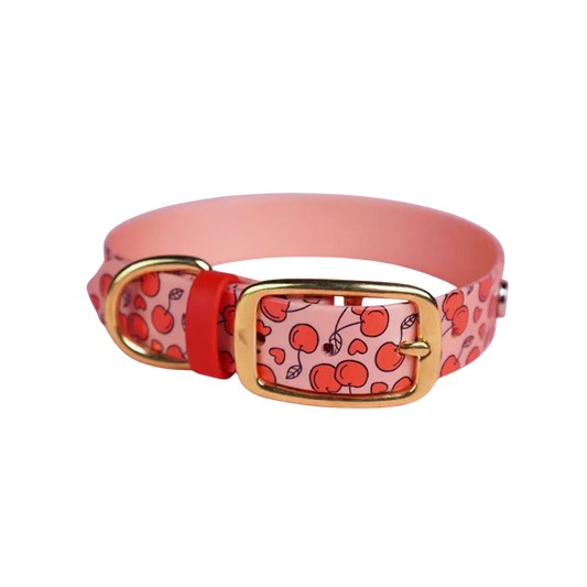 Obroża na sprzączkę dla psa, Wiśnie i serduszka / łososiowy róż BURA